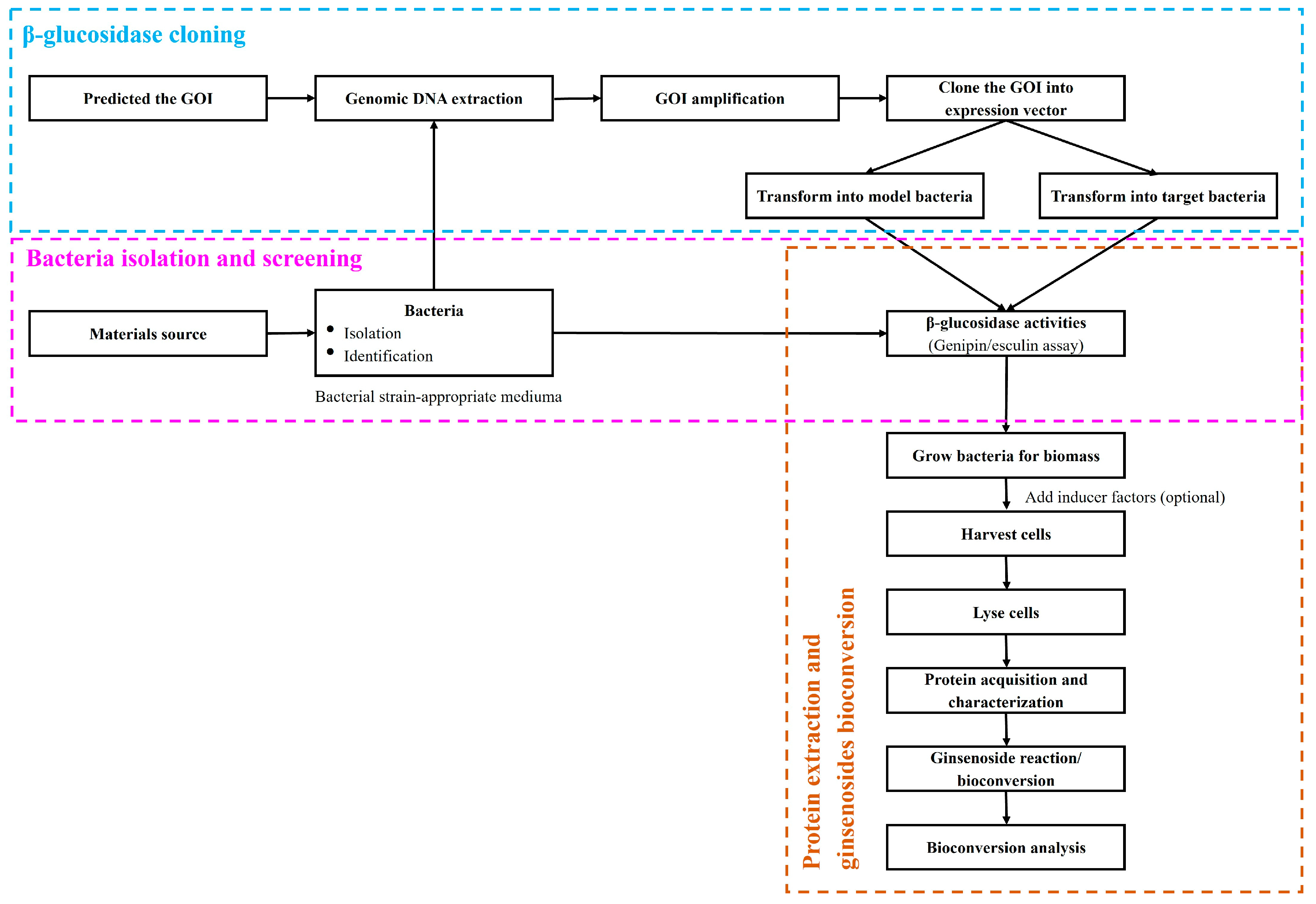 Bioengineering 10 00484 g003