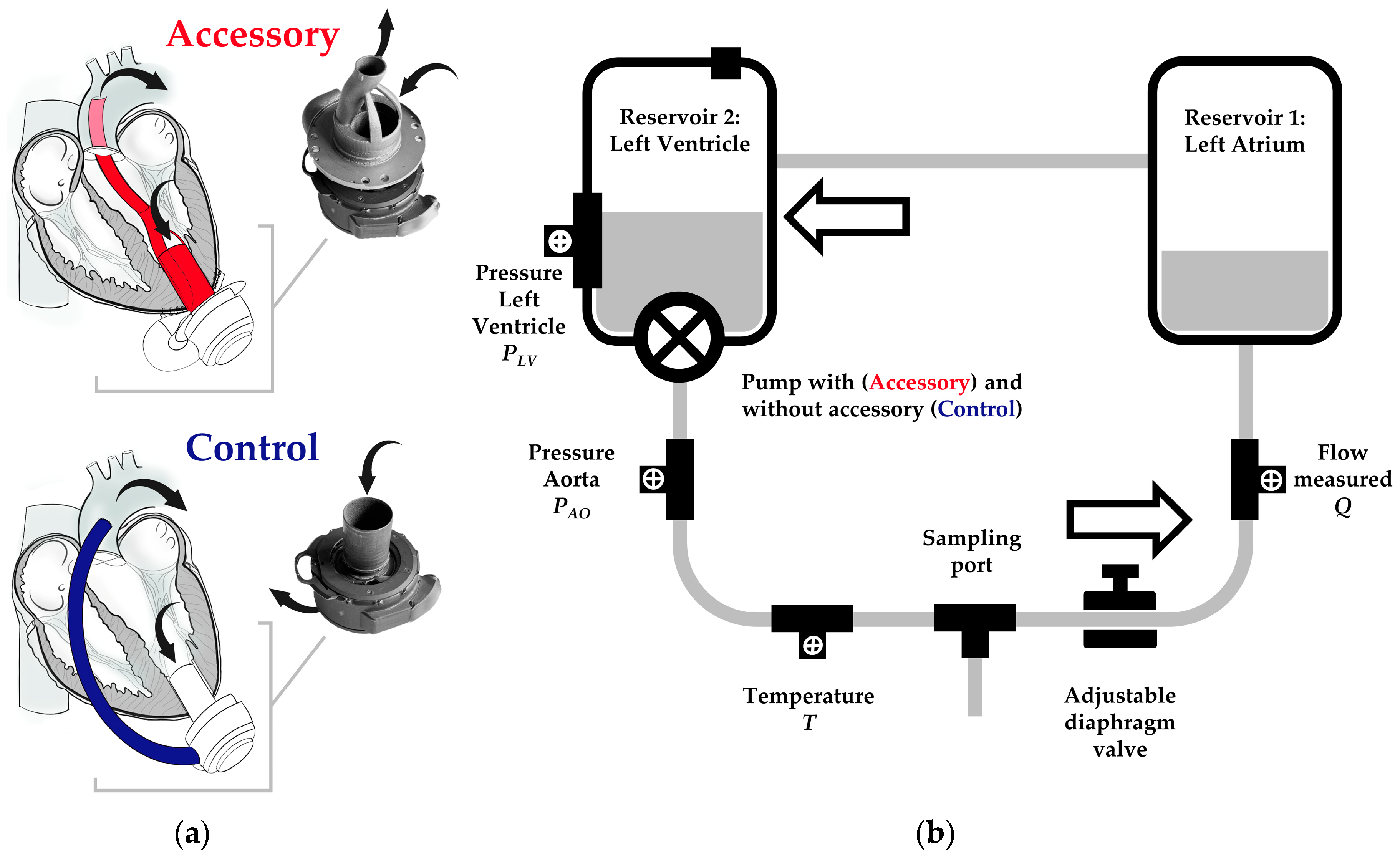 Bioengineering | Free Full-Text | of an Accessory for Left Ventricular Assist Devices on Device Flow and Pressure Head In Vitro