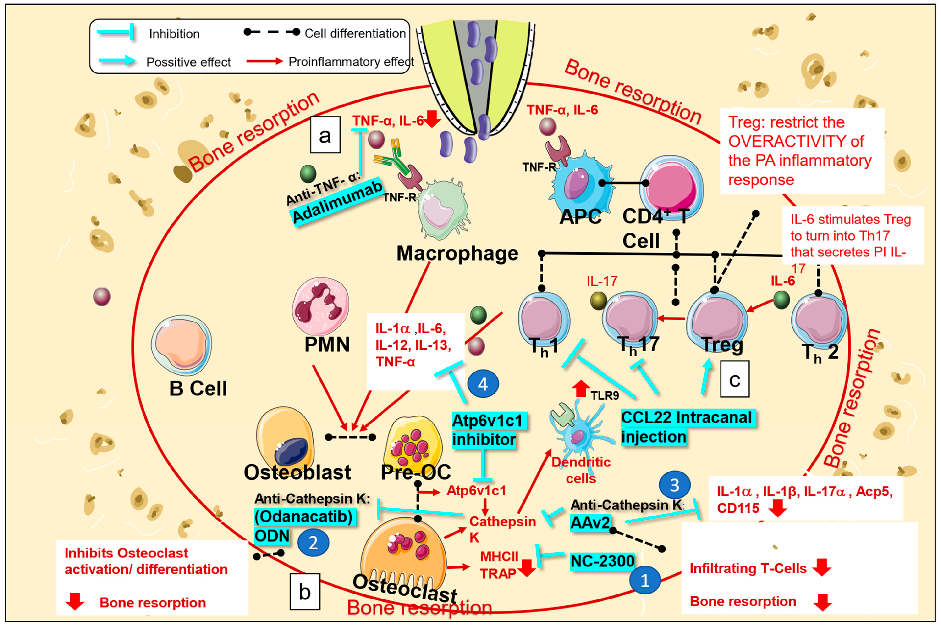Bioengineering 10 00488 g002 Bioengineering 10 00488 g002