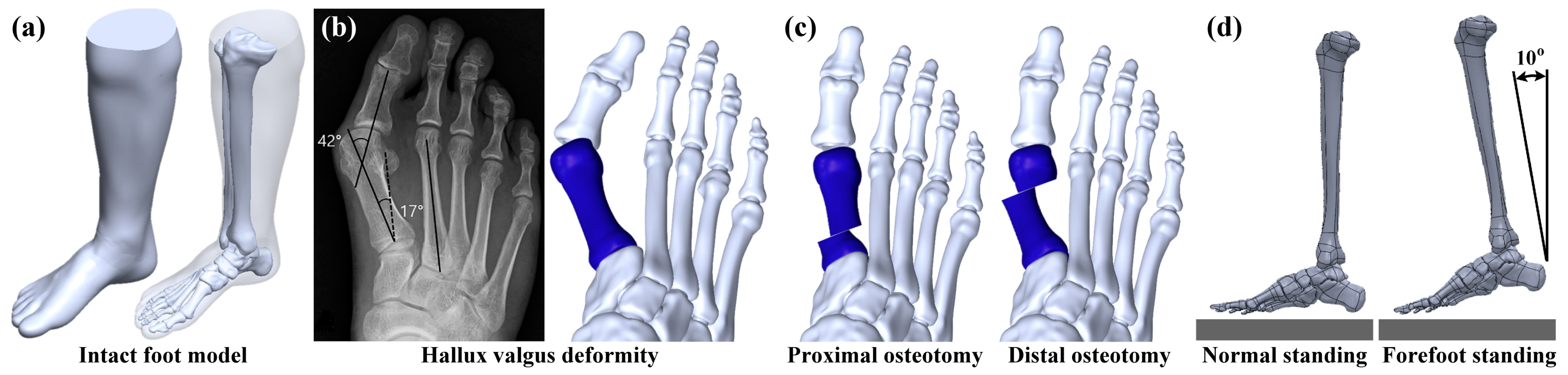 Bioengineering 10 00499 g001 Bioengineering 10 00499 g001