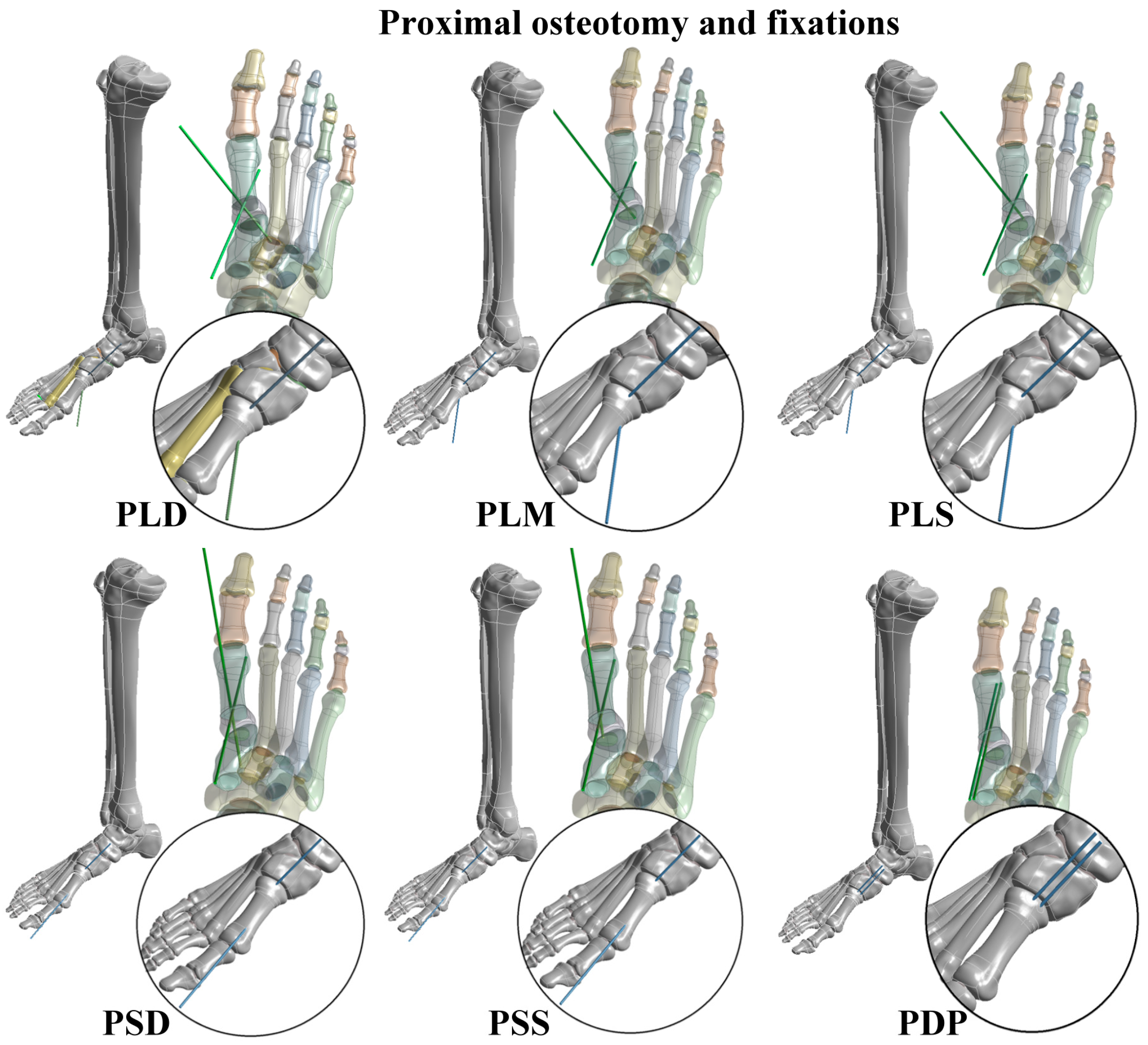 Bioengineering 10 00499 g002 Bioengineering 10 00499 g002