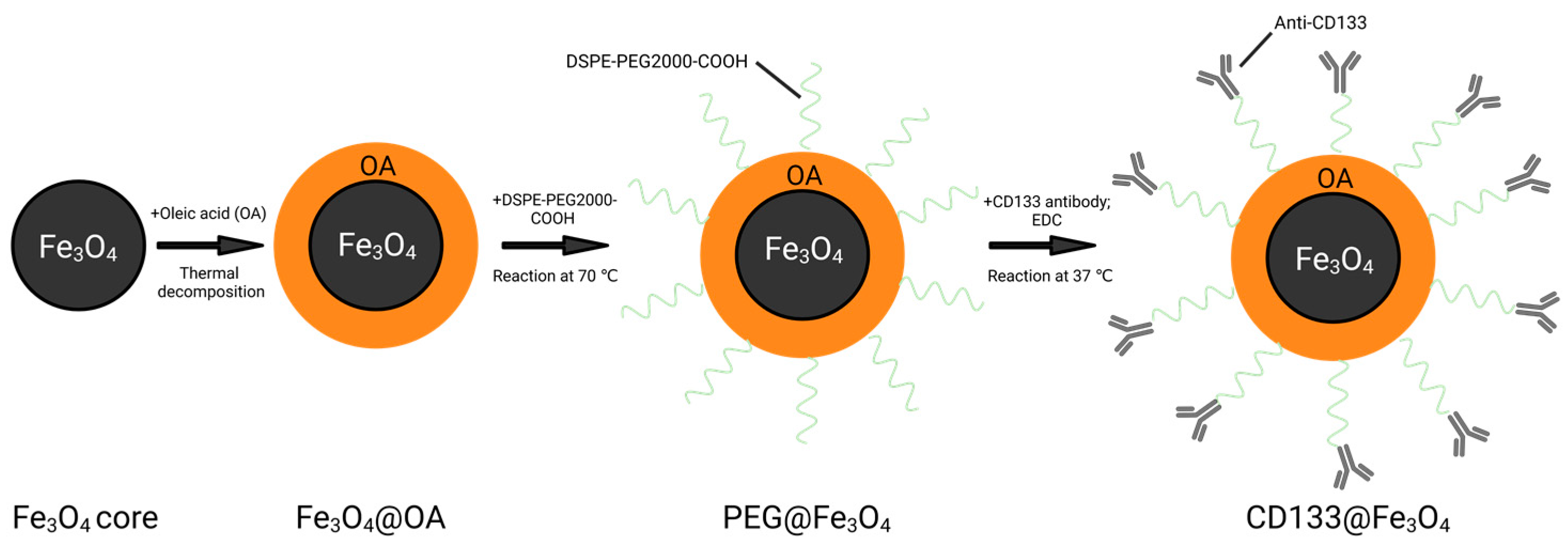 Bioengineering 10 00509 g001 Bioengineering 10 00509 g001