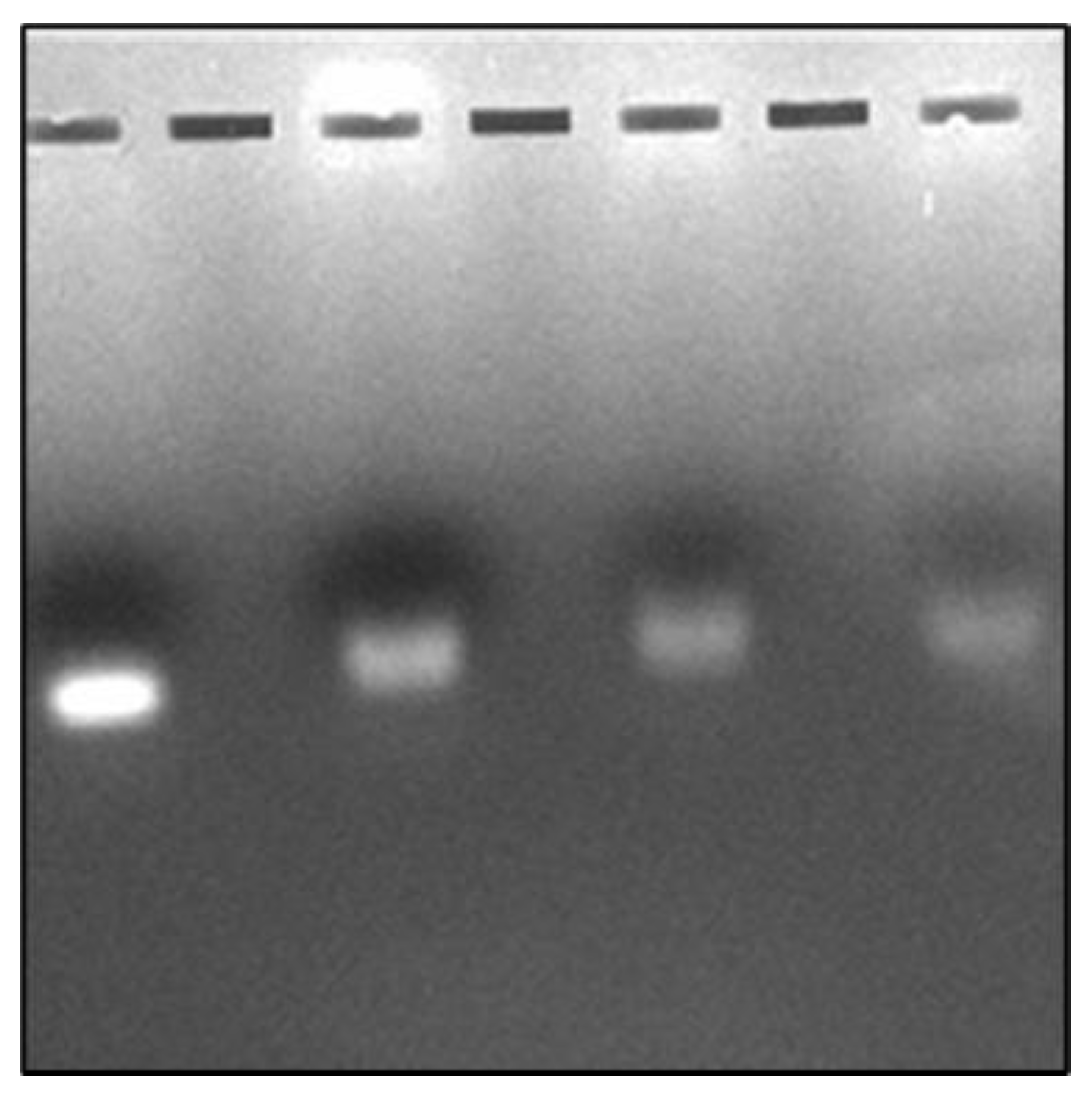 Bioengineering 10 00512 g002 Bioengineering 10 00512 g002
