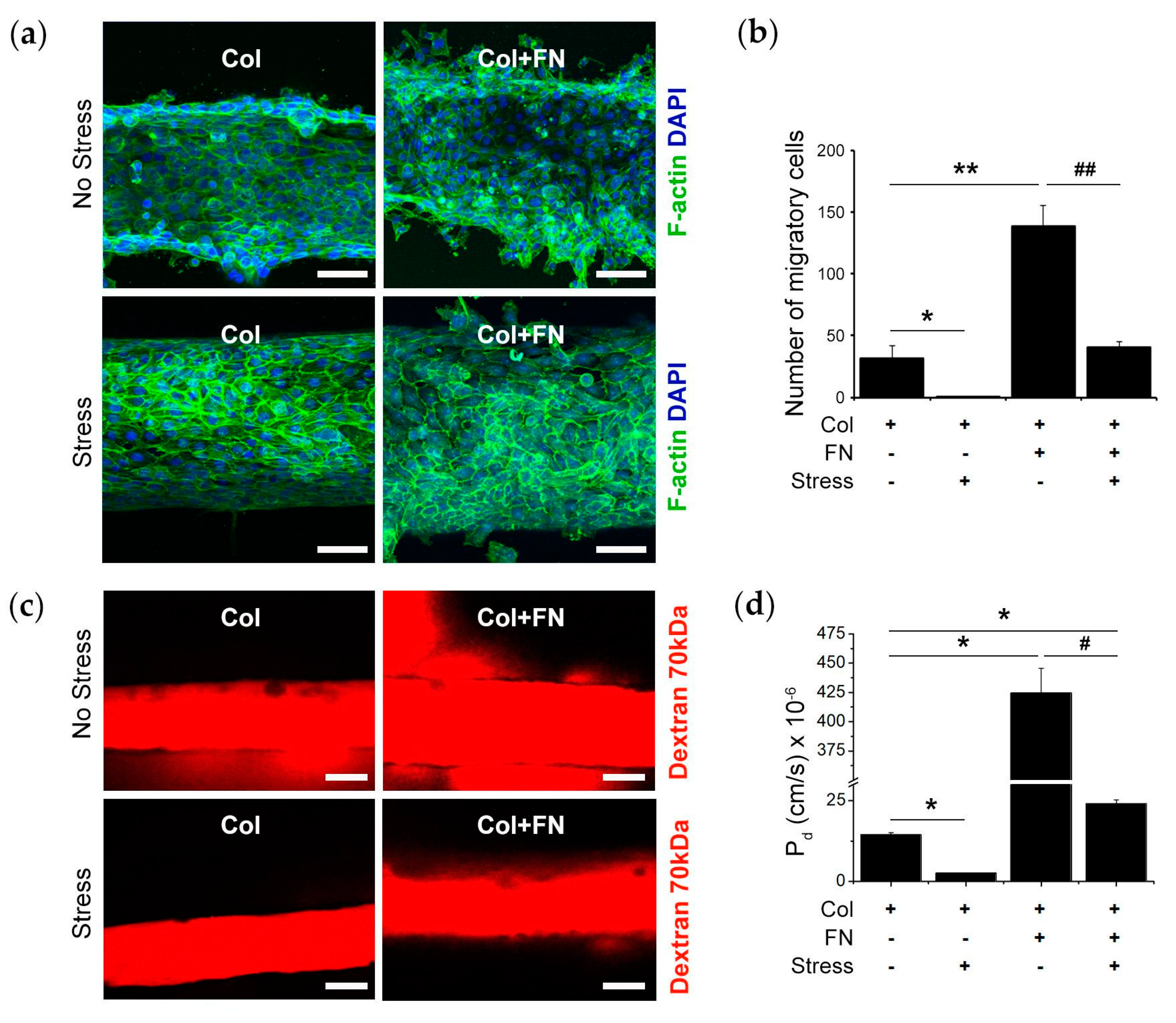 Bioengineering 10 00517 g005 Bioengineering 10 00517 g005