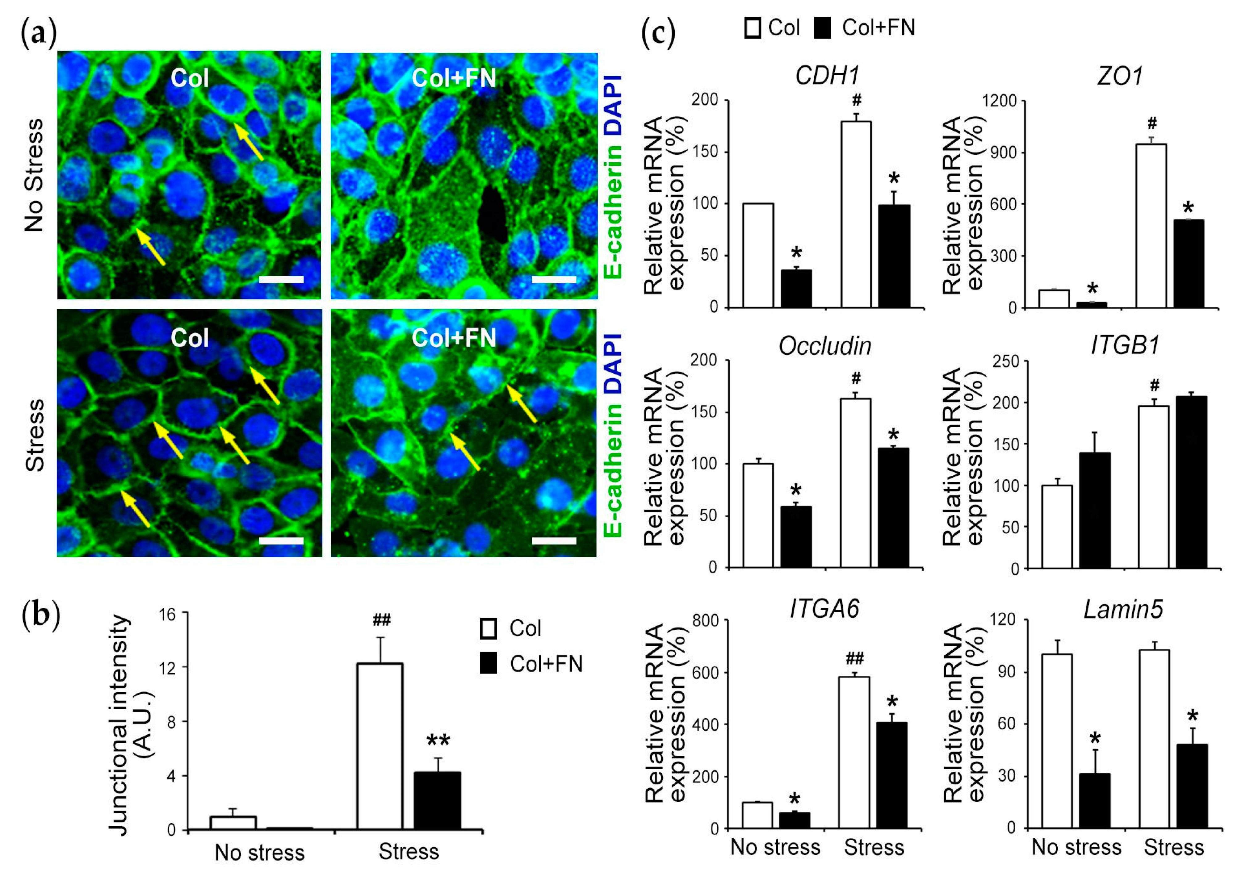Bioengineering 10 00517 g006 Bioengineering 10 00517 g006
