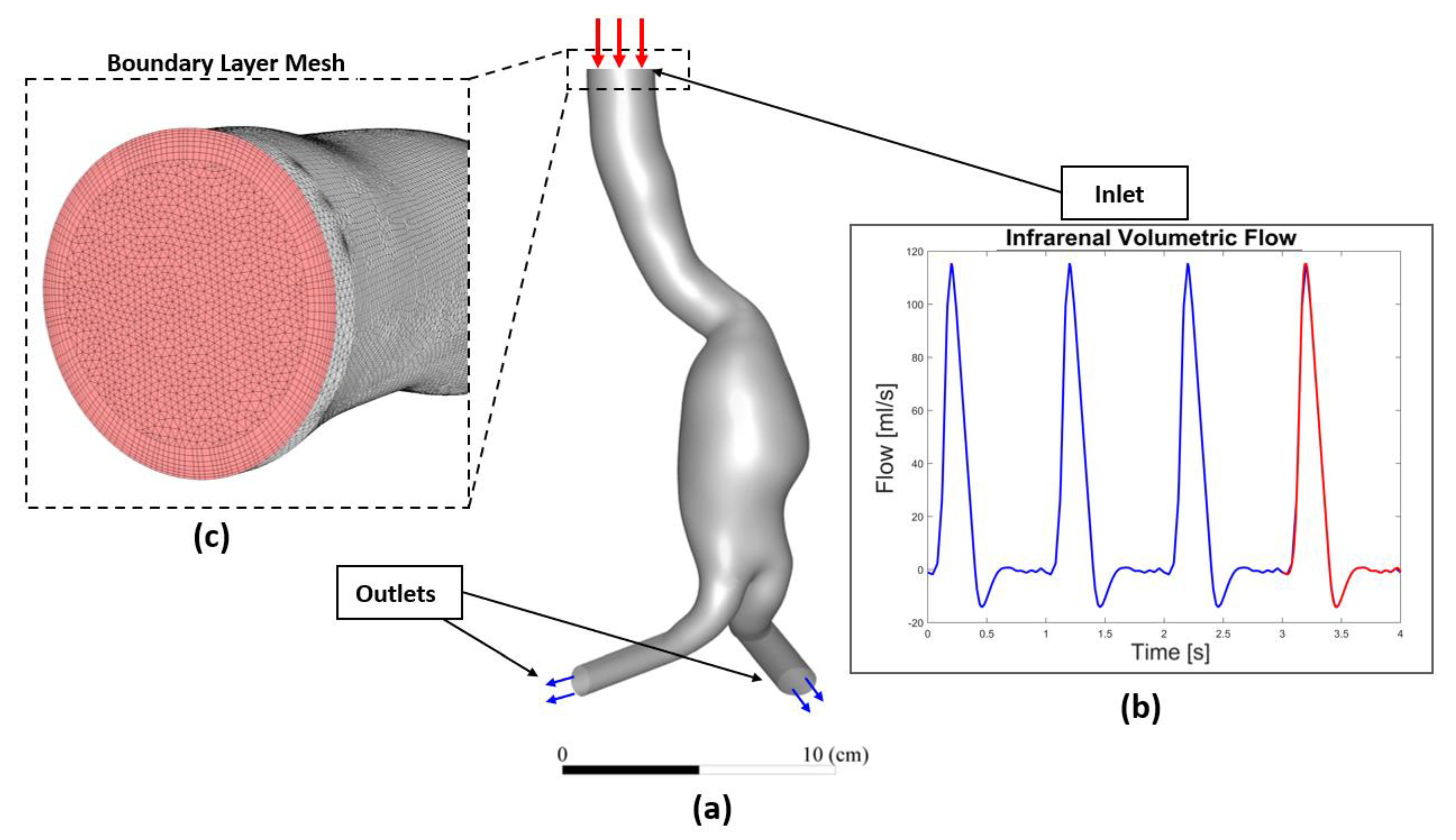 Bioengineering 10 00540 g003