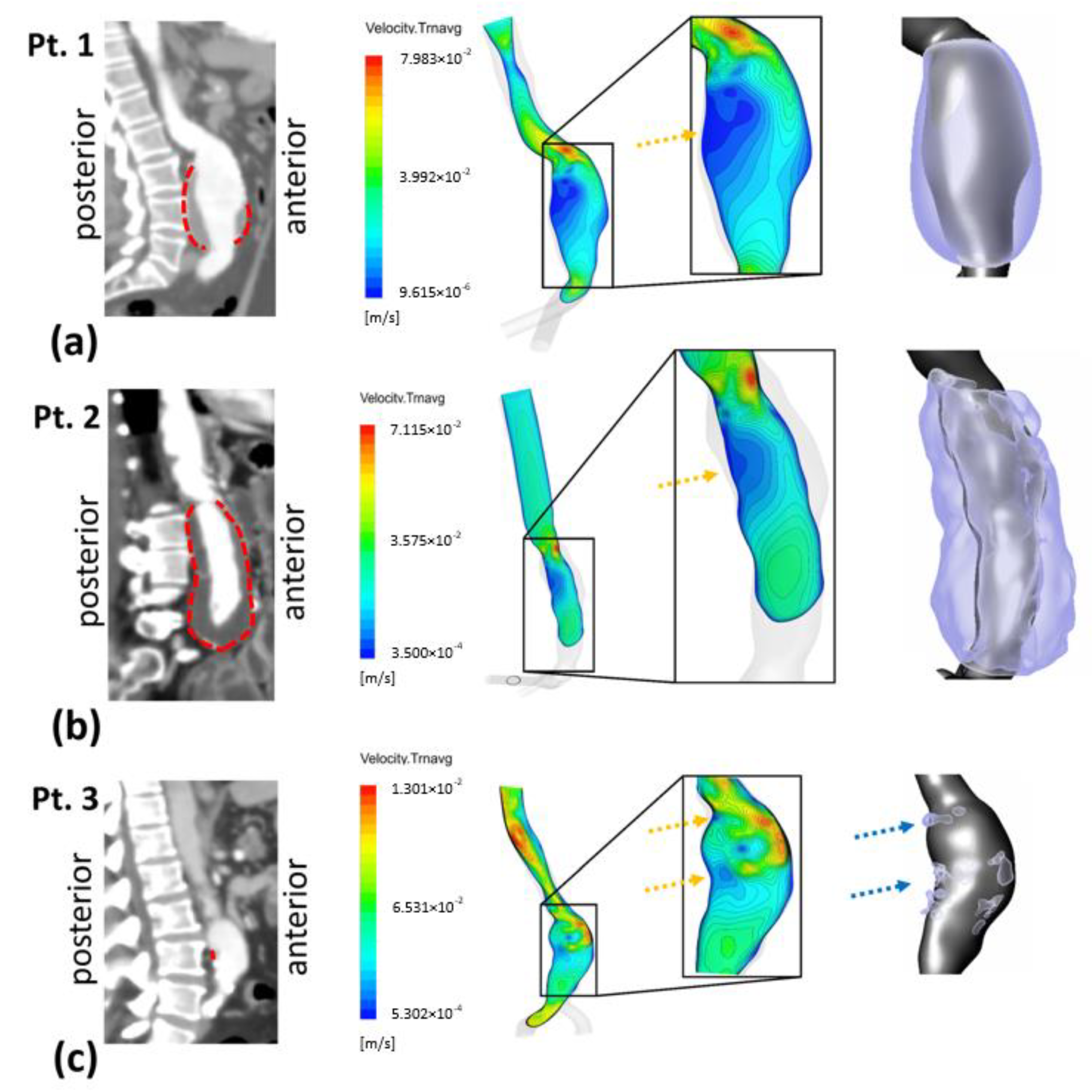 Bioengineering 10 00540 g004