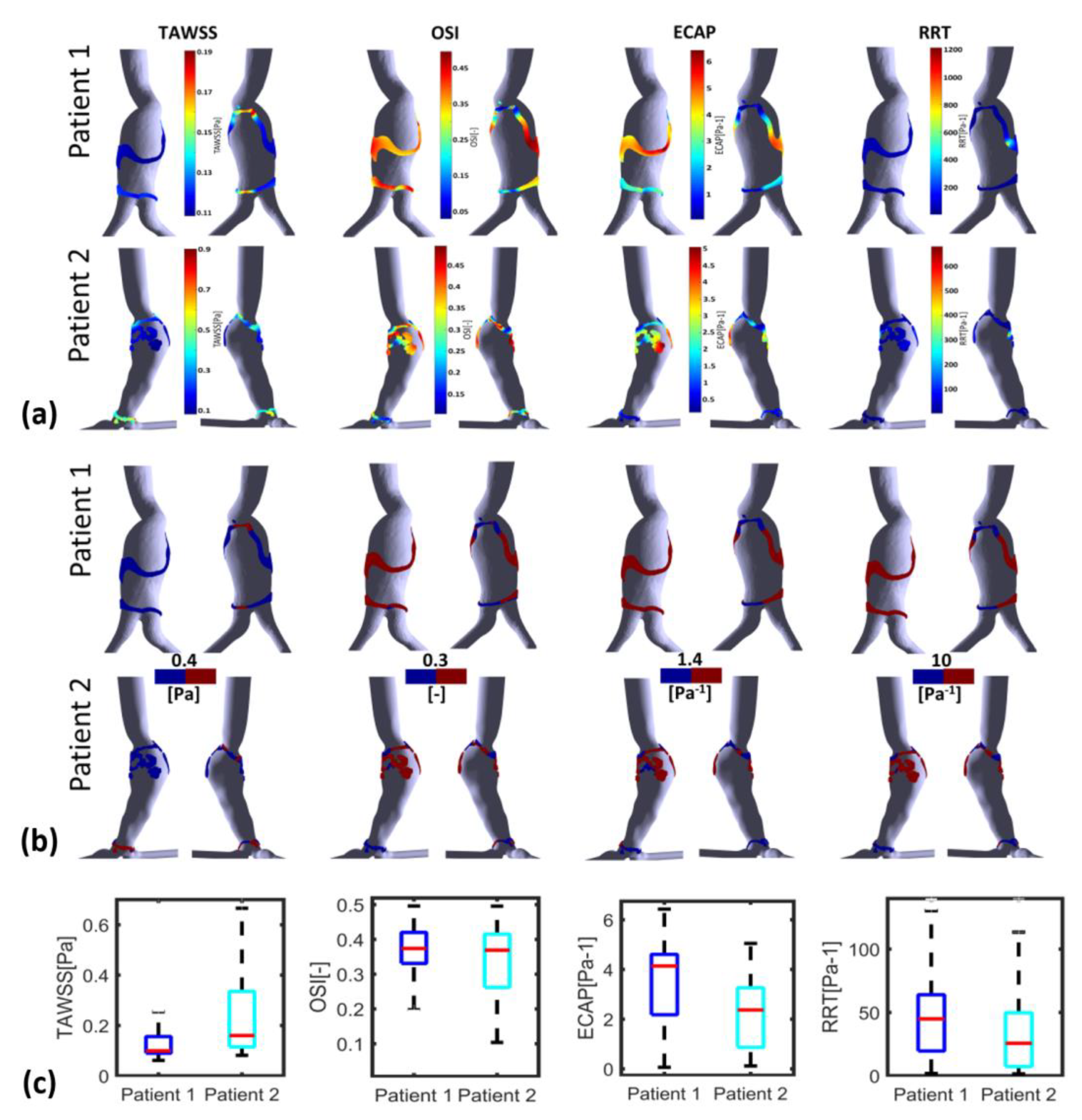 Bioengineering 10 00540 g009