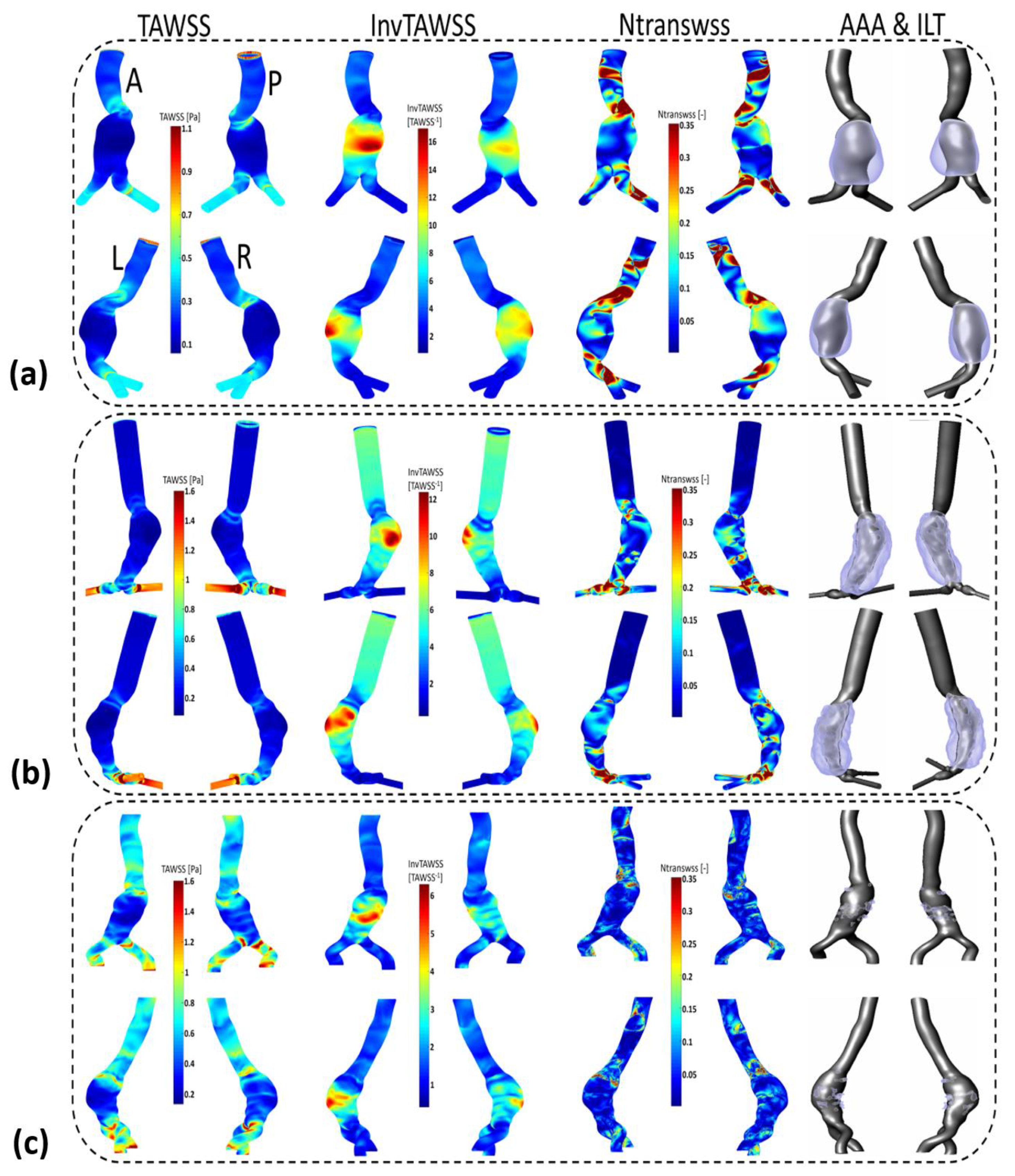 Bioengineering 10 00540 g0a3
