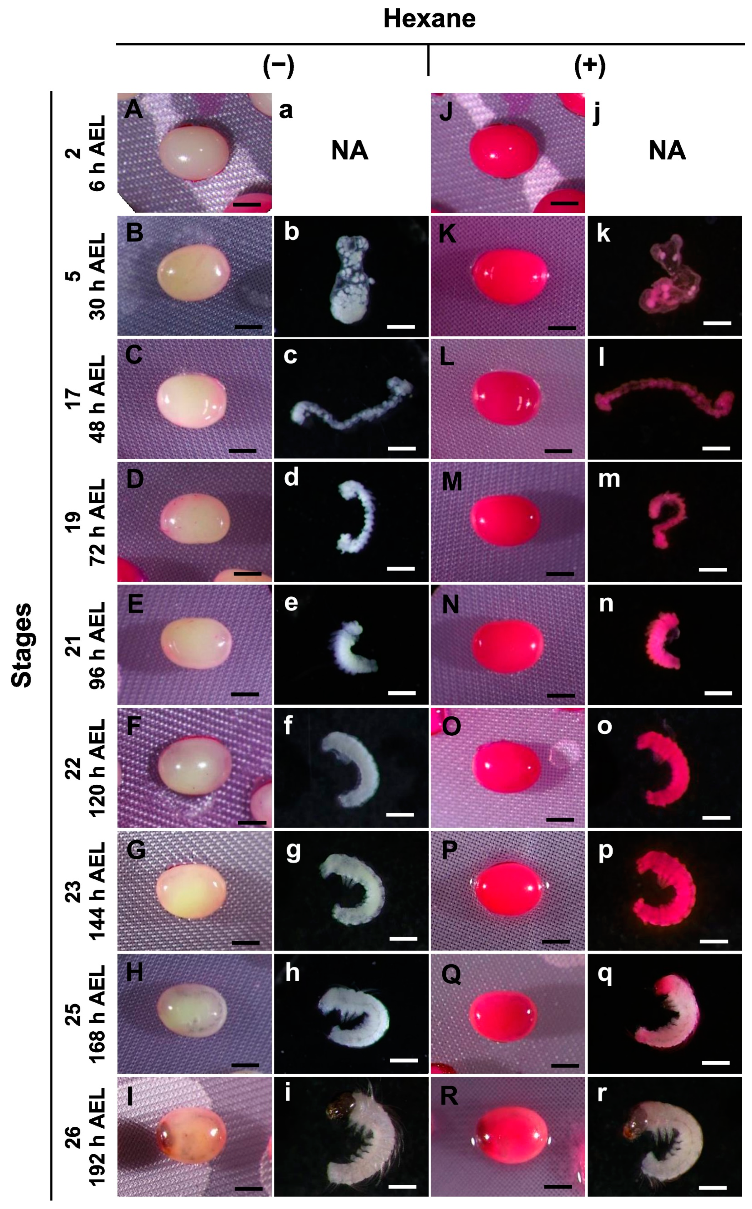Bioengineering 10 00563 g002 Bioengineering 10 00563 g002