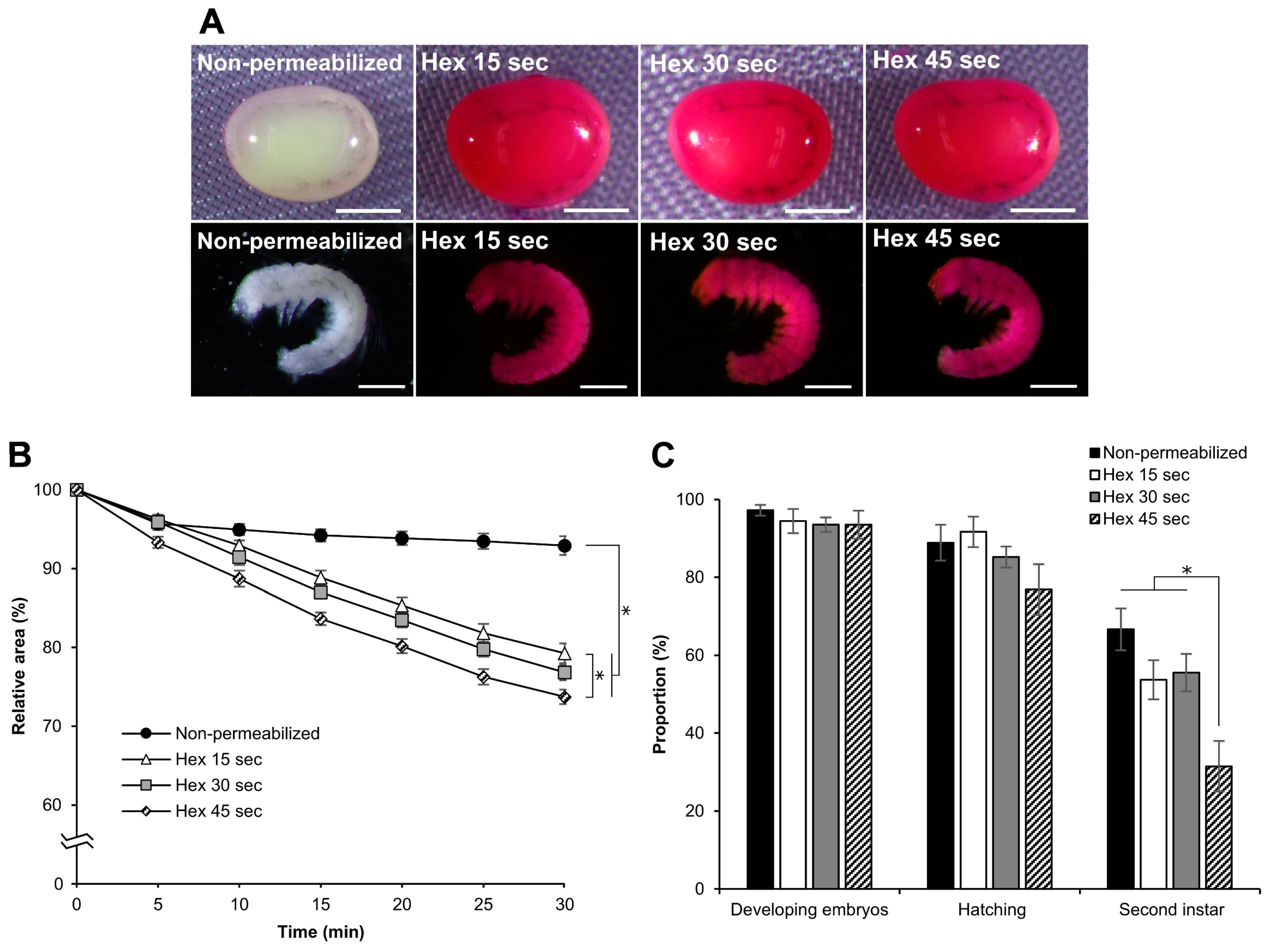 Bioengineering 10 00563 g009 Bioengineering 10 00563 g009