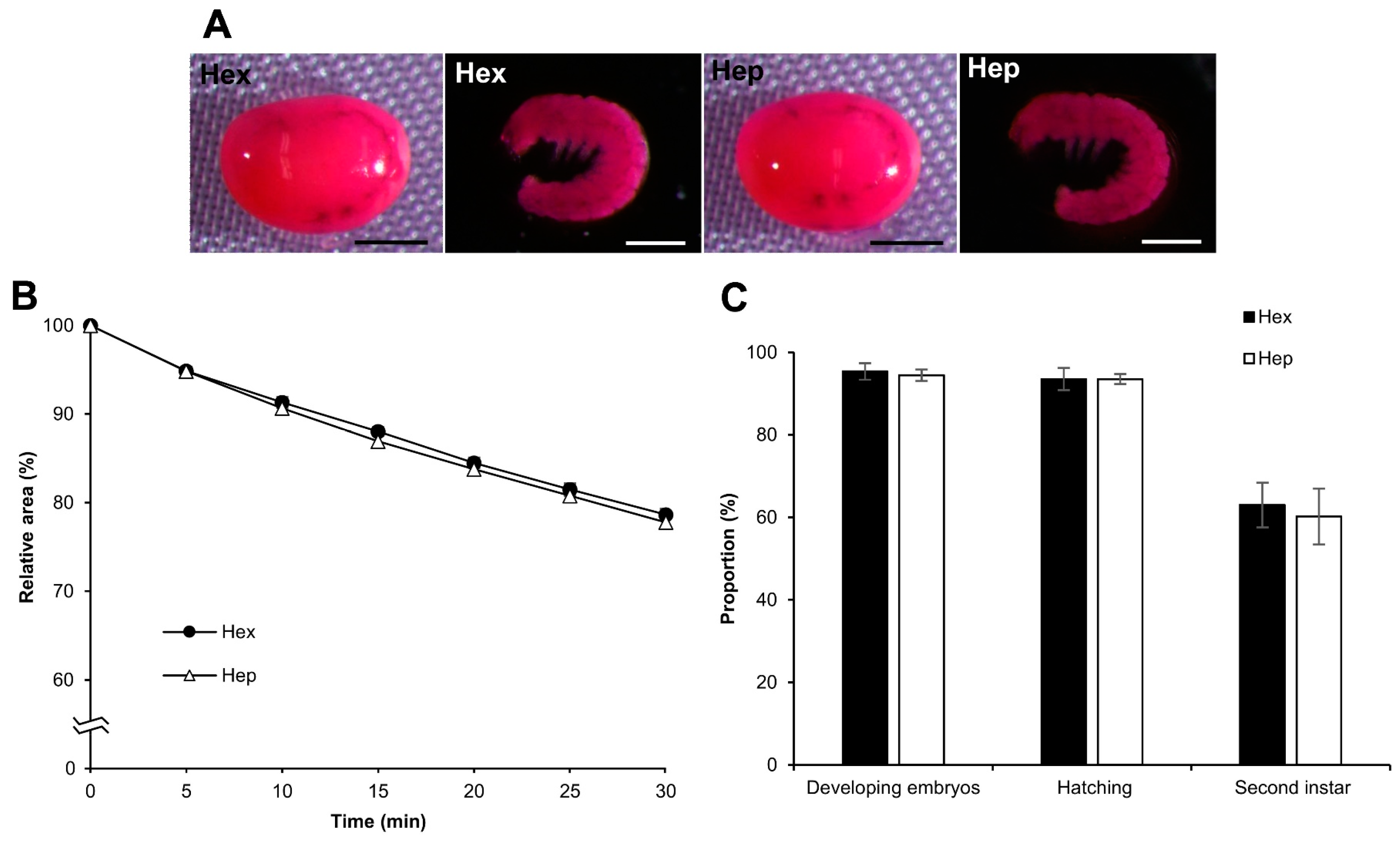 Bioengineering 10 00563 g010 Bioengineering 10 00563 g010