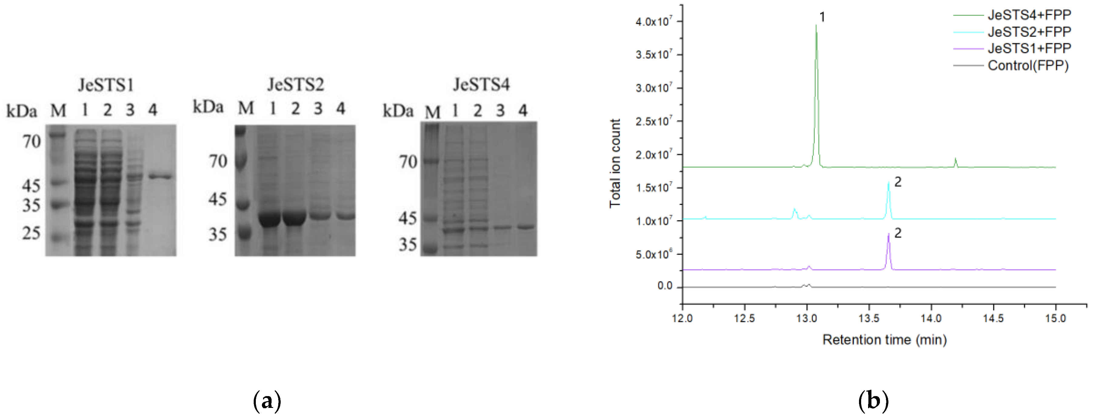 Bioengineering 10 00569 g005 Bioengineering 10 00569 g005
