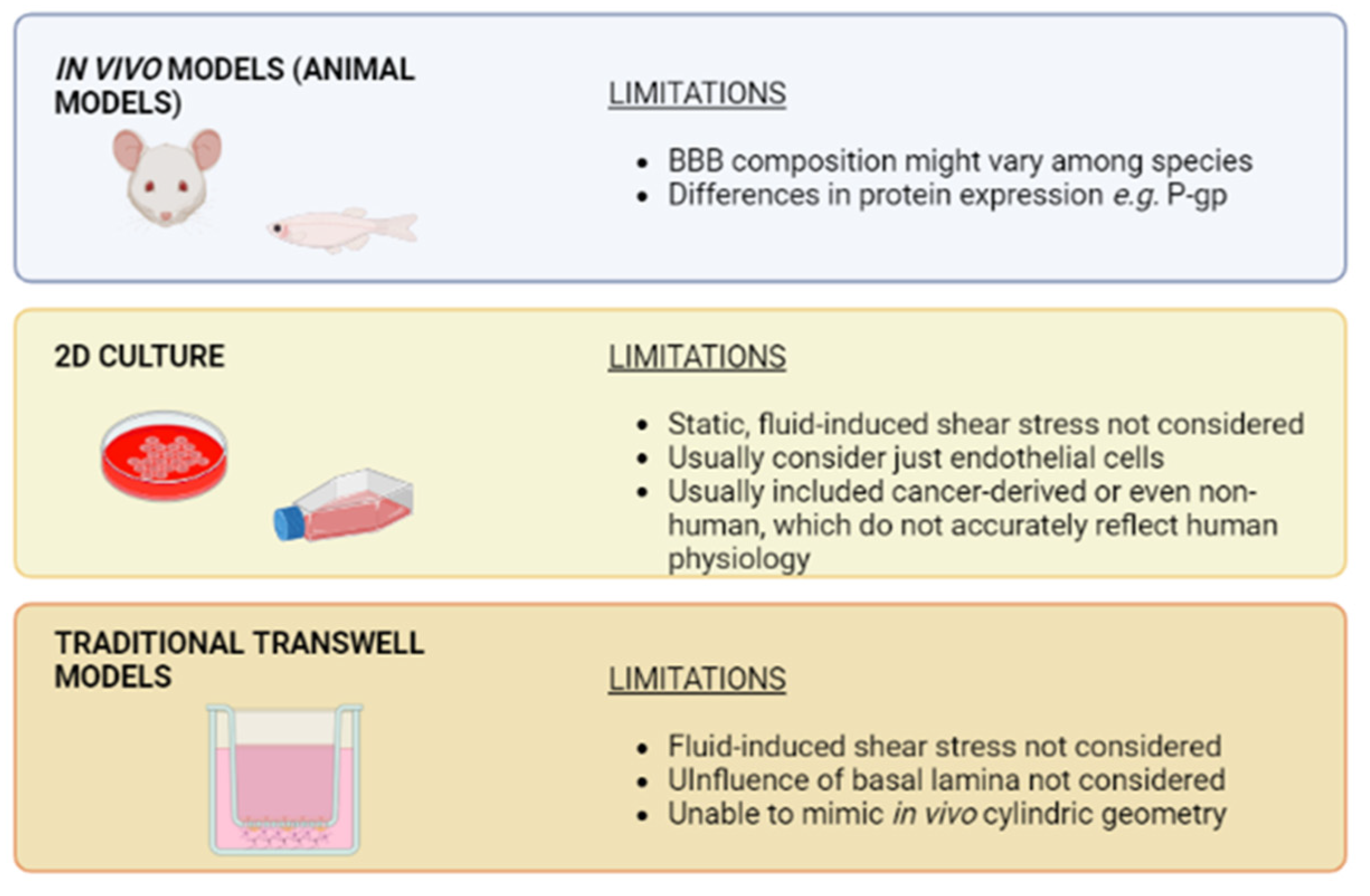 Bioengineering 10 00572 g003
