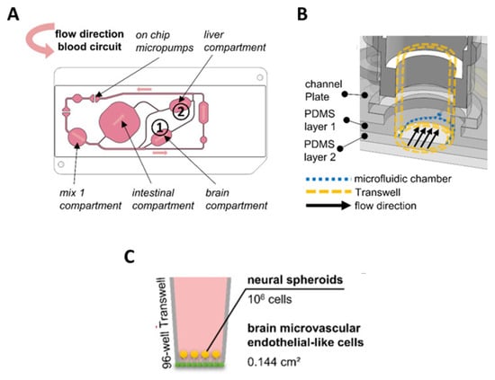 Biosensors Integration in Blood–Brain Barrier-on-a-Chip: Emerging Platform  for Monitoring Neurodegenerative Diseases