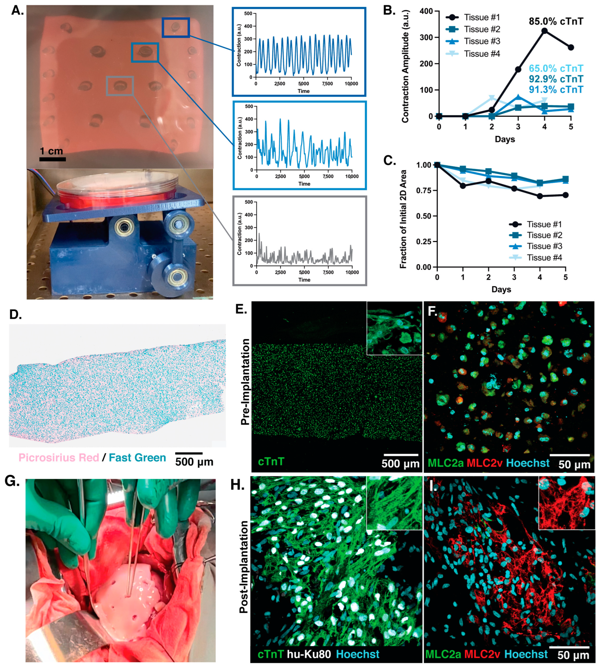 Bioengineering 10 00587 g008 Bioengineering 10 00587 g008