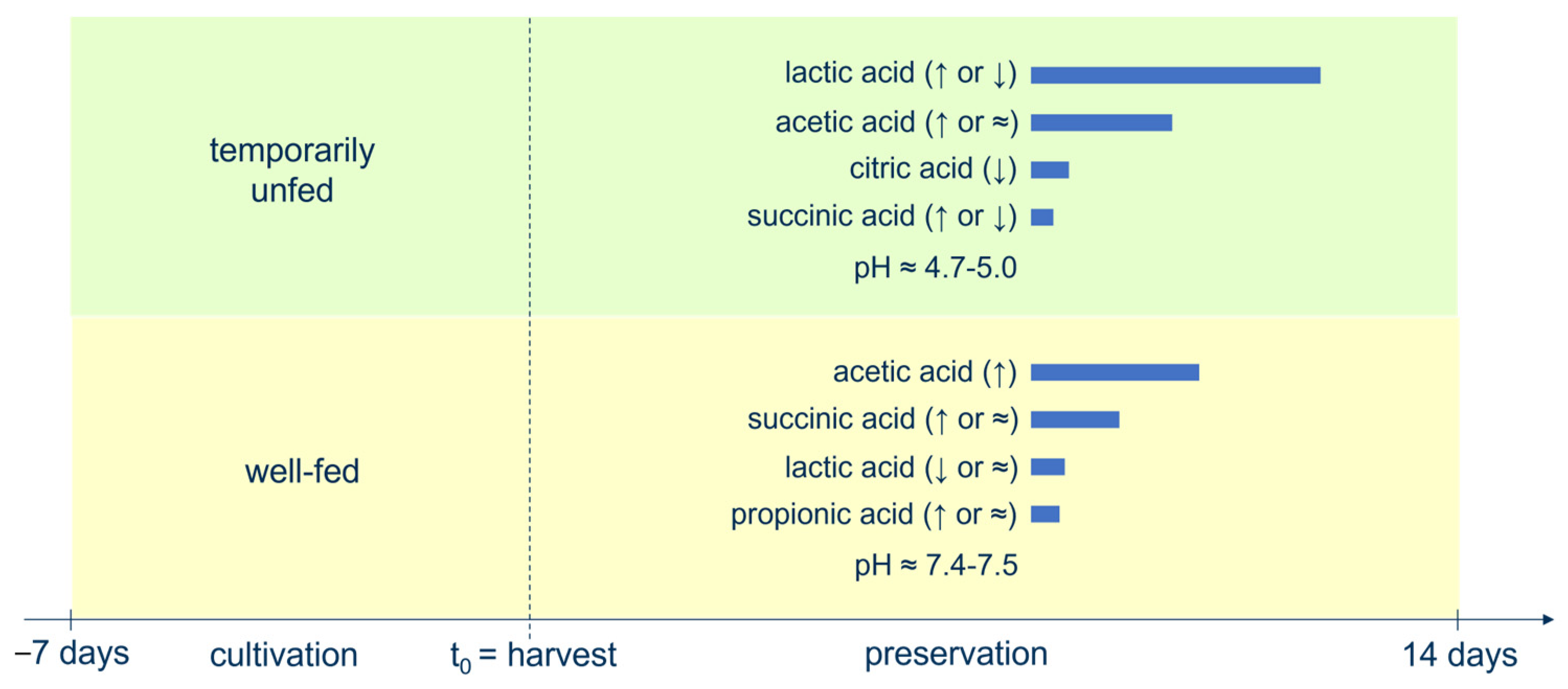 Bioengineering 10 00600 g006