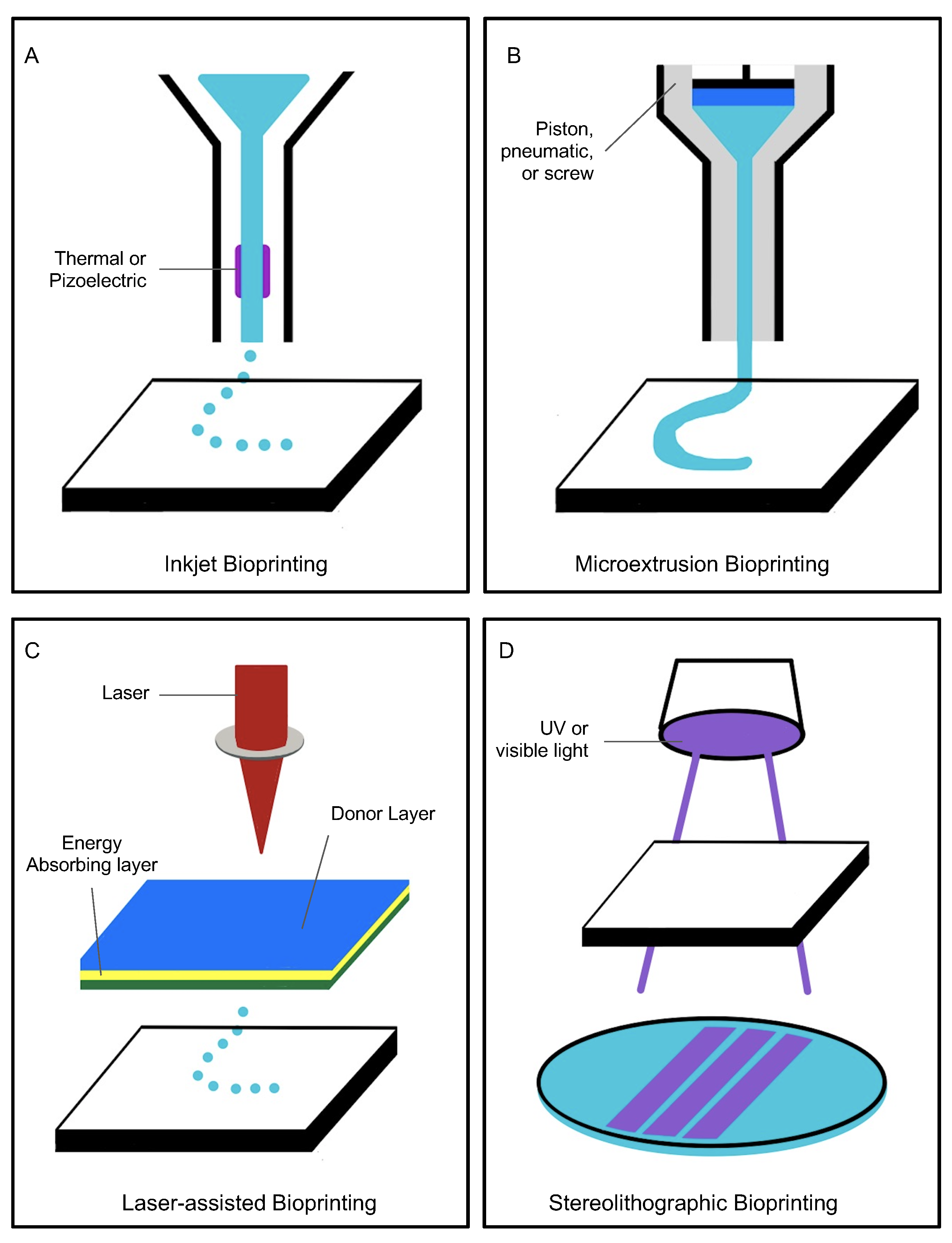 Bioengineering | Free Full-Text | 3D Bioprinting For Vascularization