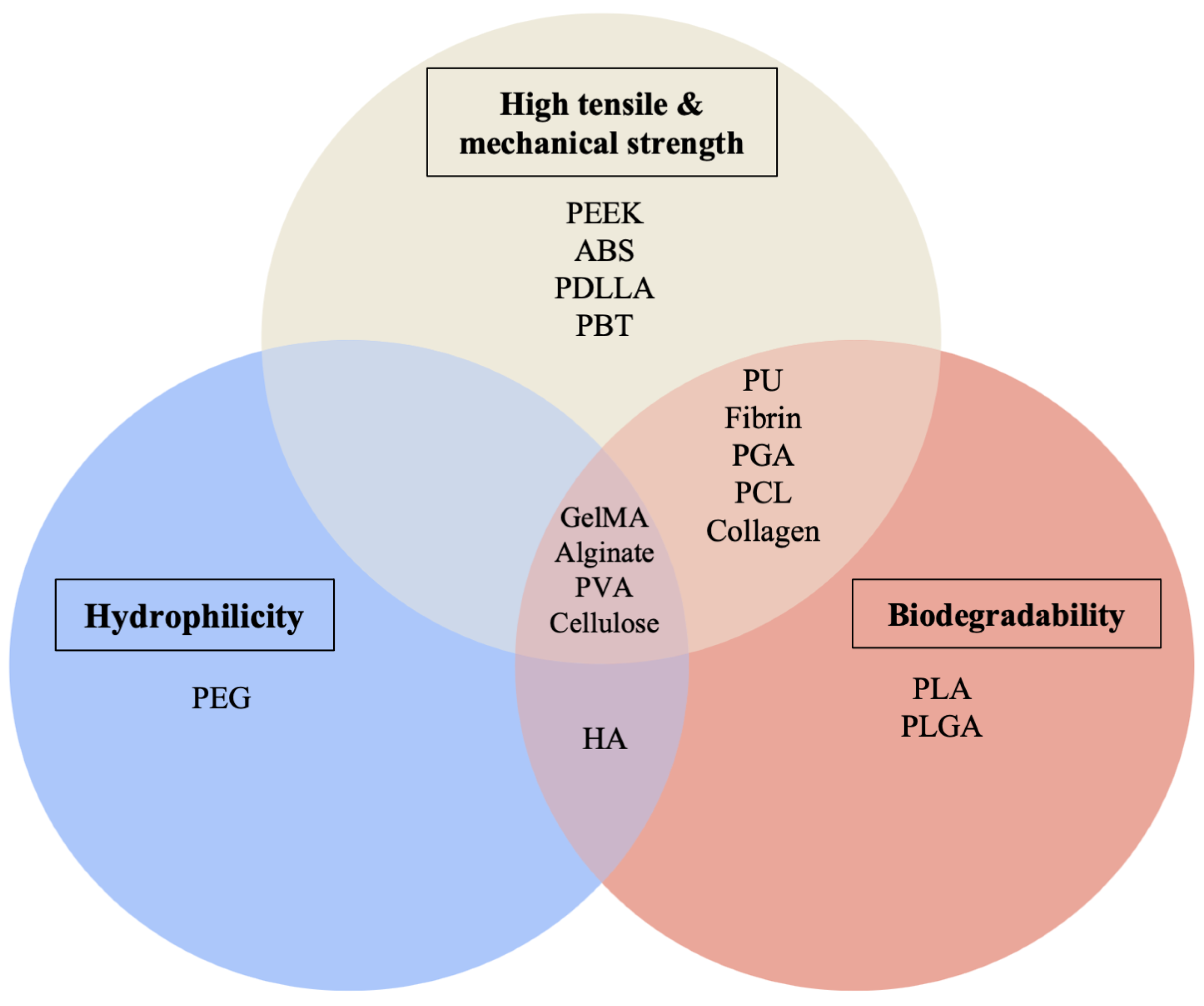 Bioengineering 10 00606 g005 Bioengineering 10 00606 g005