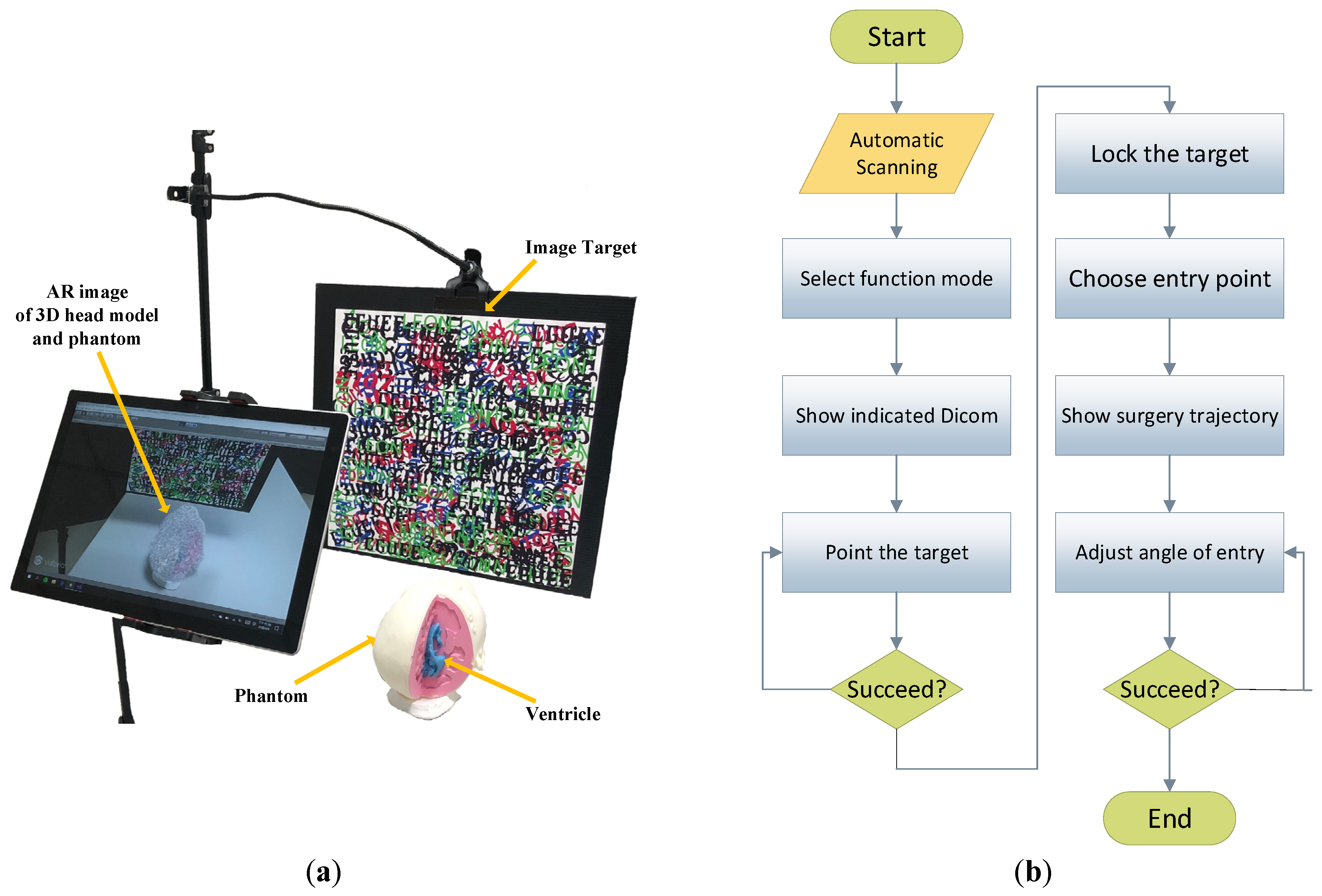Bioengineering 10 00617 g001 Bioengineering 10 00617 g001