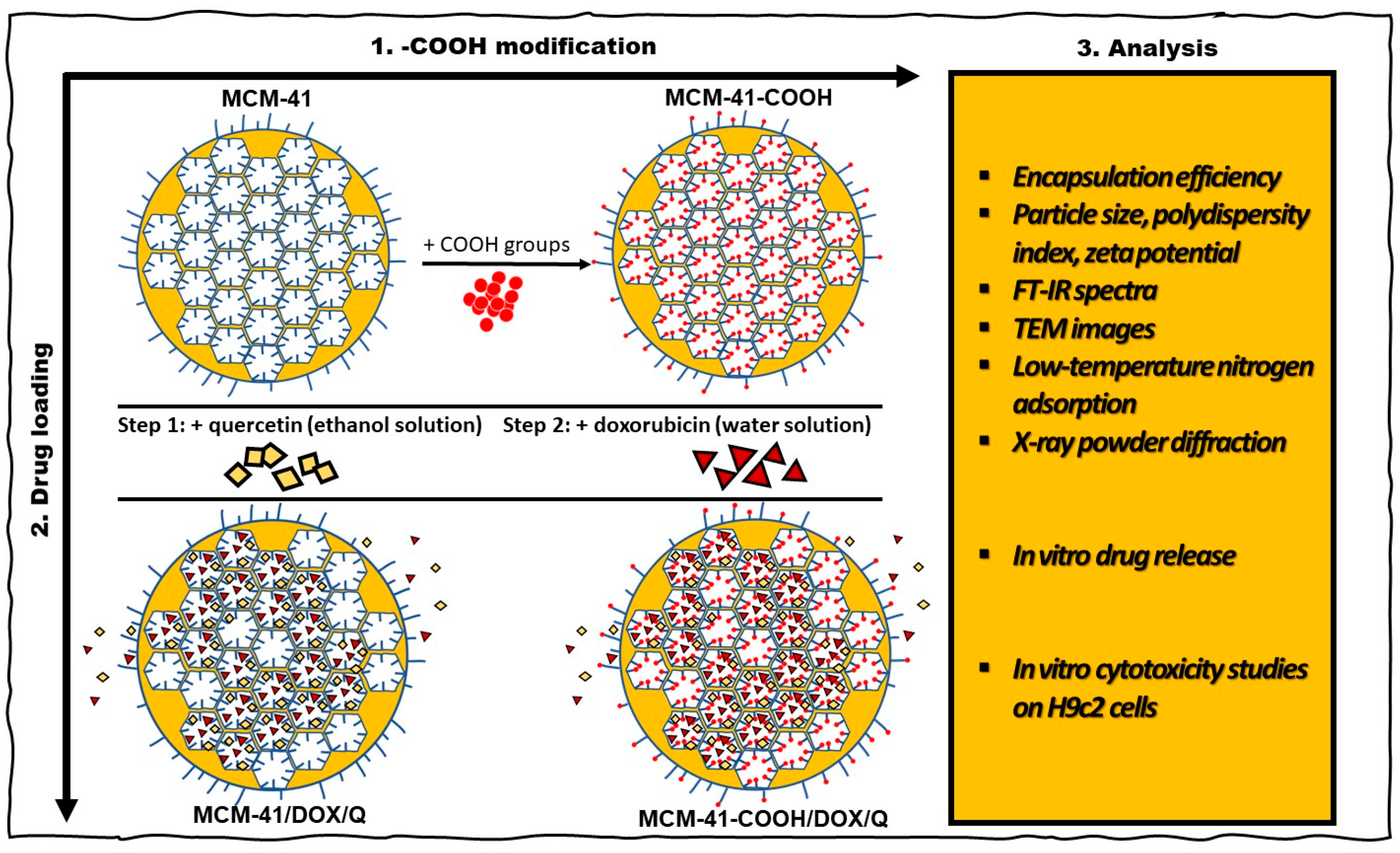 Bioengineering 10 00637 g001 Bioengineering 10 00637 g001