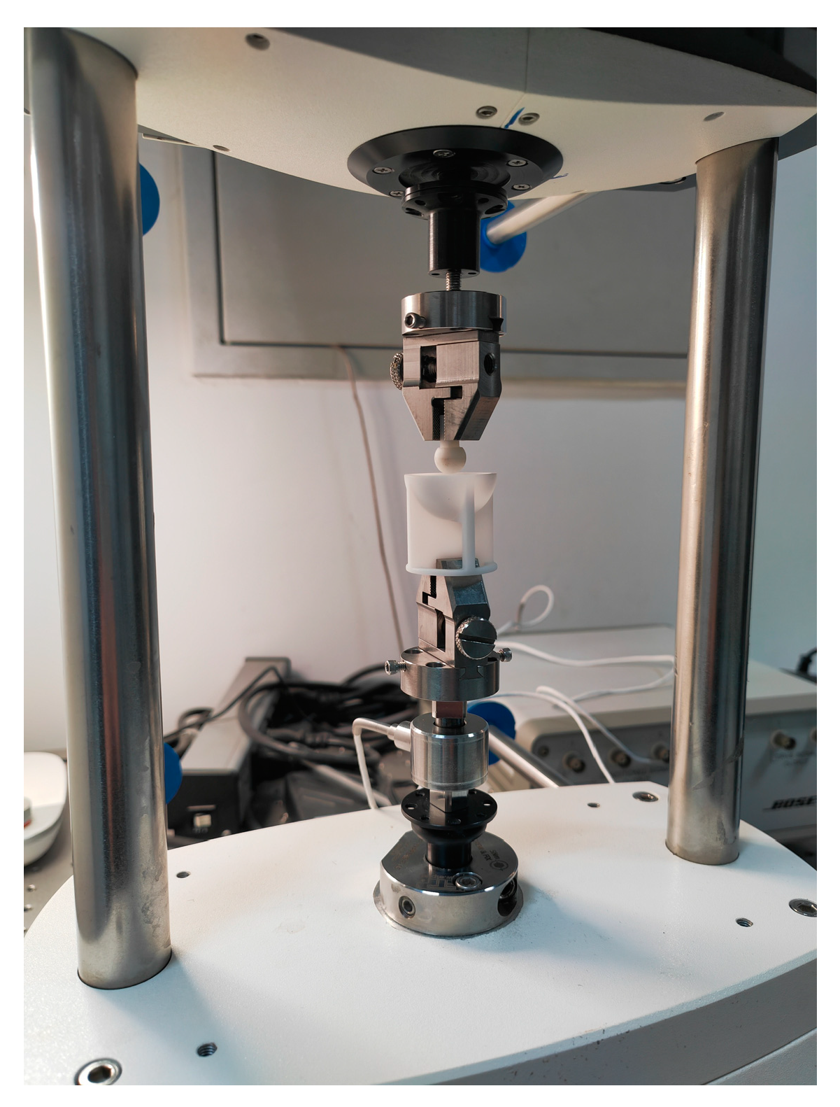 Bioengineering 10 00646 g001 Bioengineering 10 00646 g001