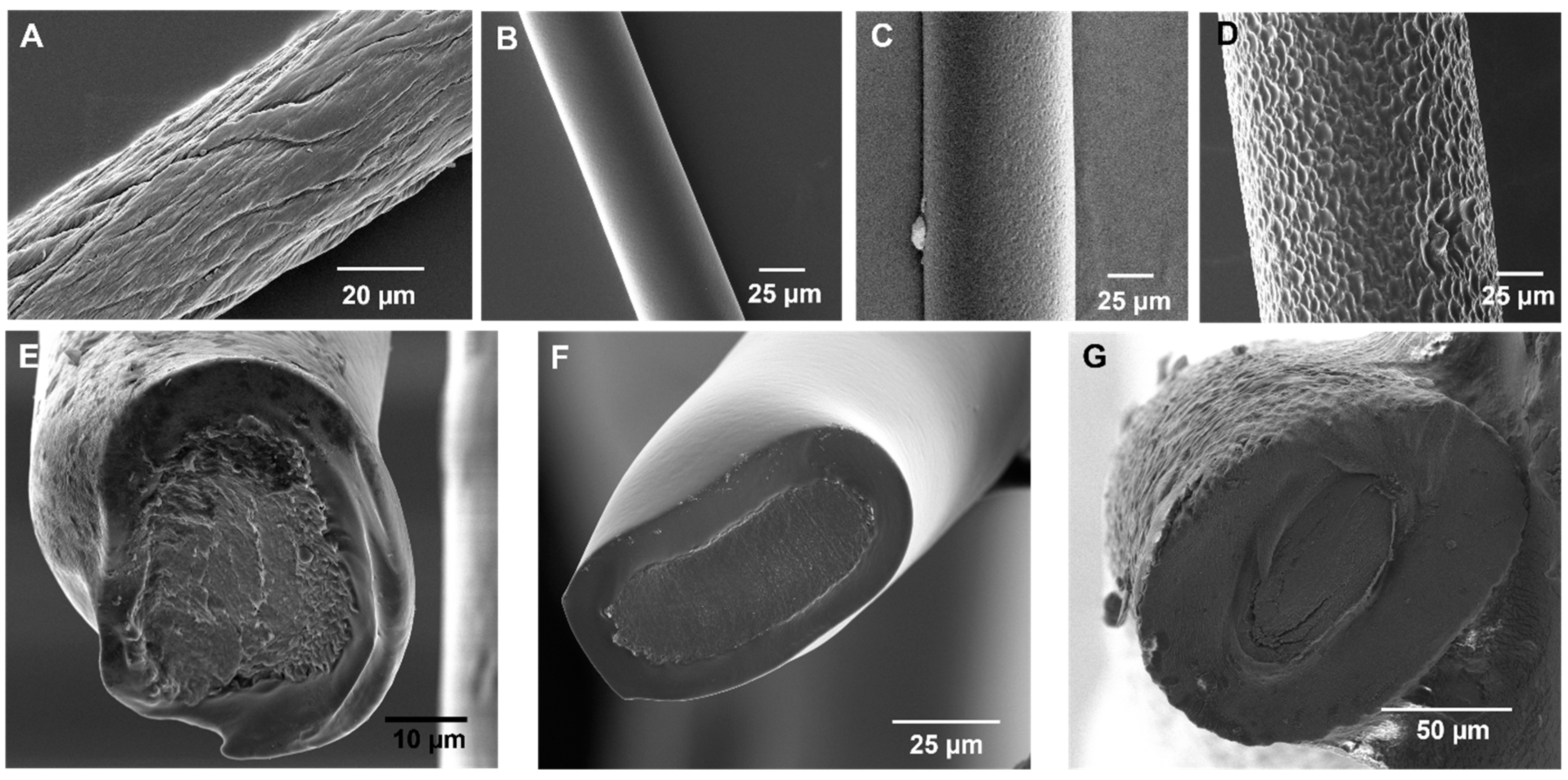 Bioengineering 10 00647 g002 Bioengineering 10 00647 g002