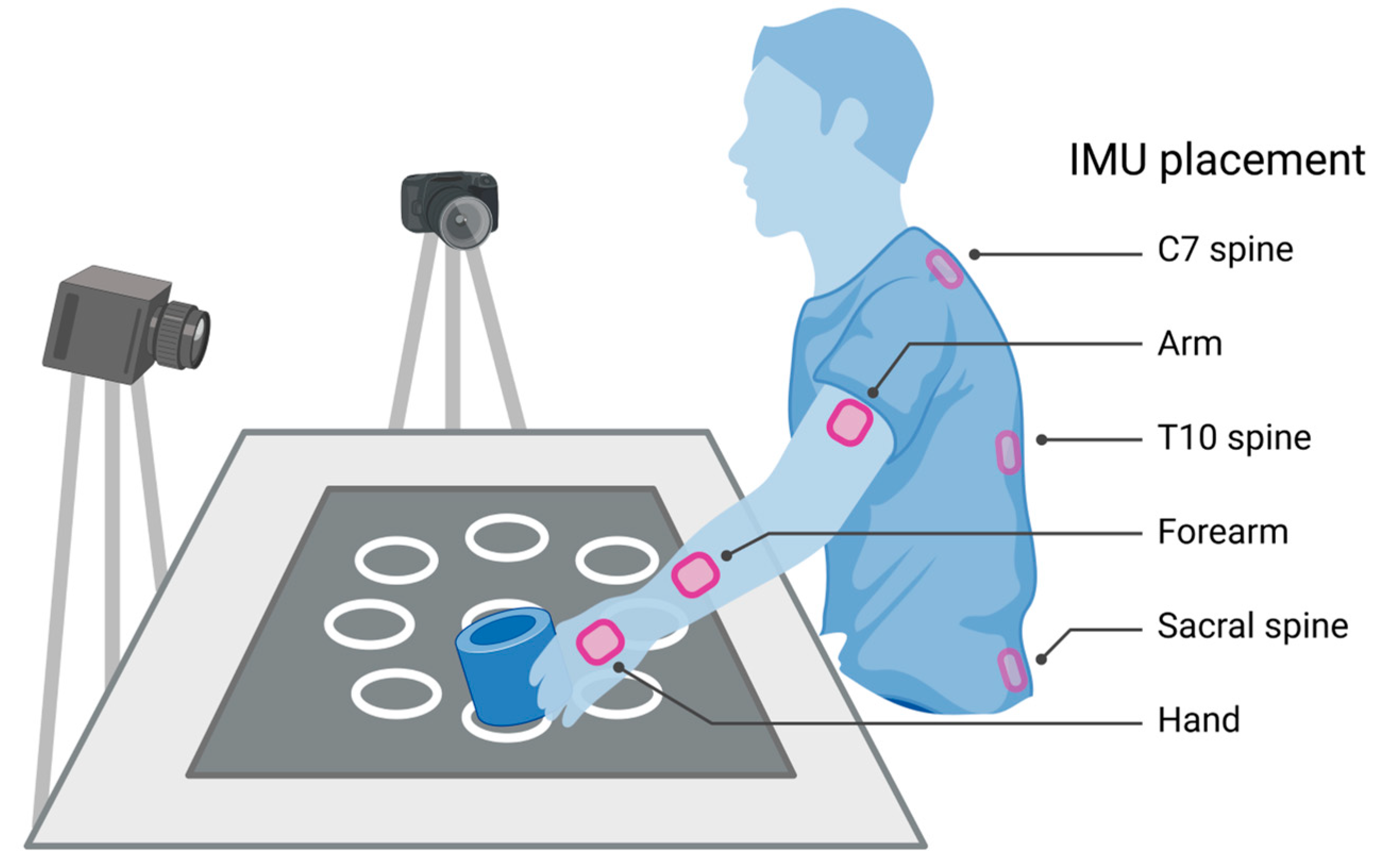 Bioengineering 10 00648 g001 Bioengineering 10 00648 g001