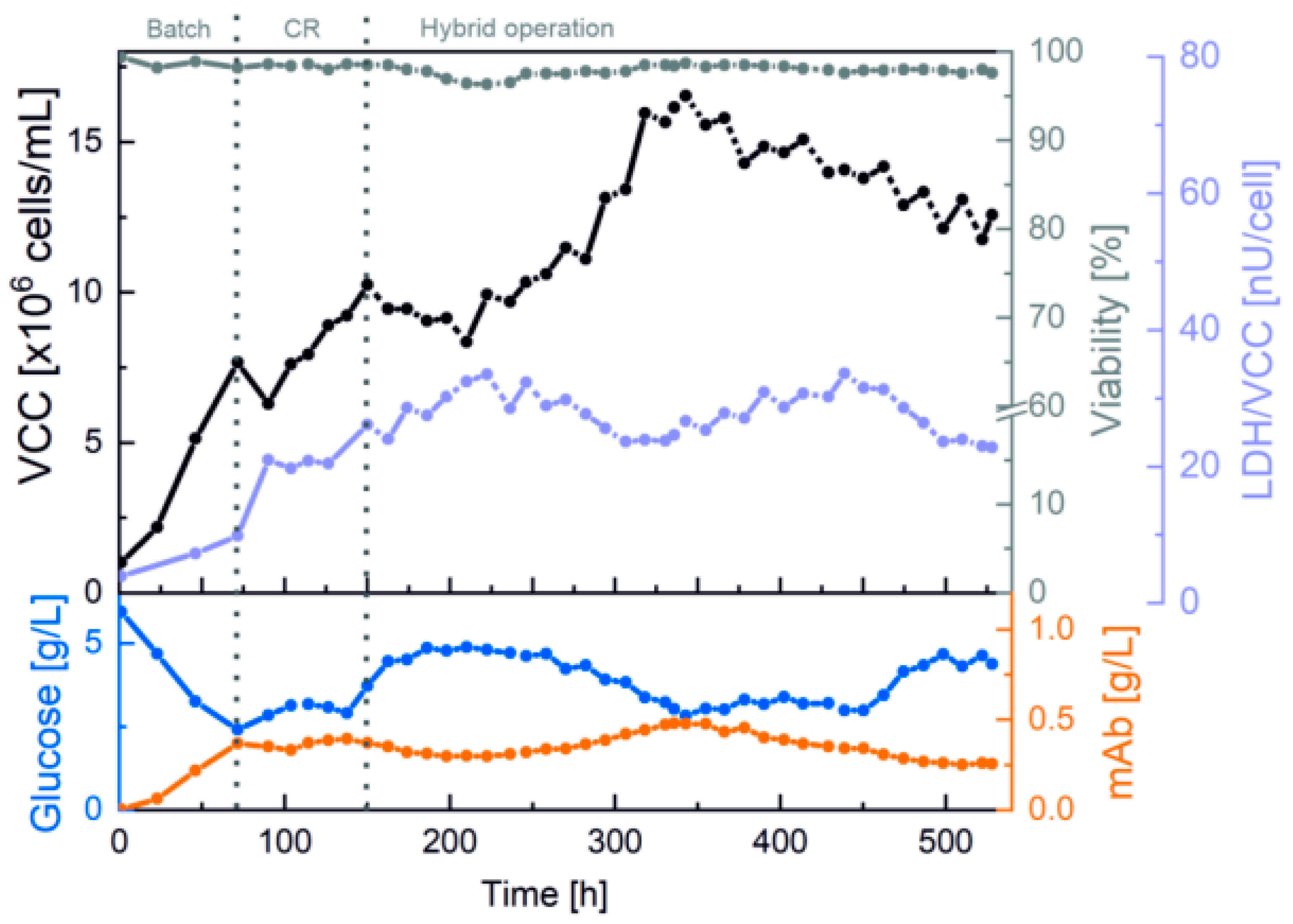 Bioengineering 10 00656 g003