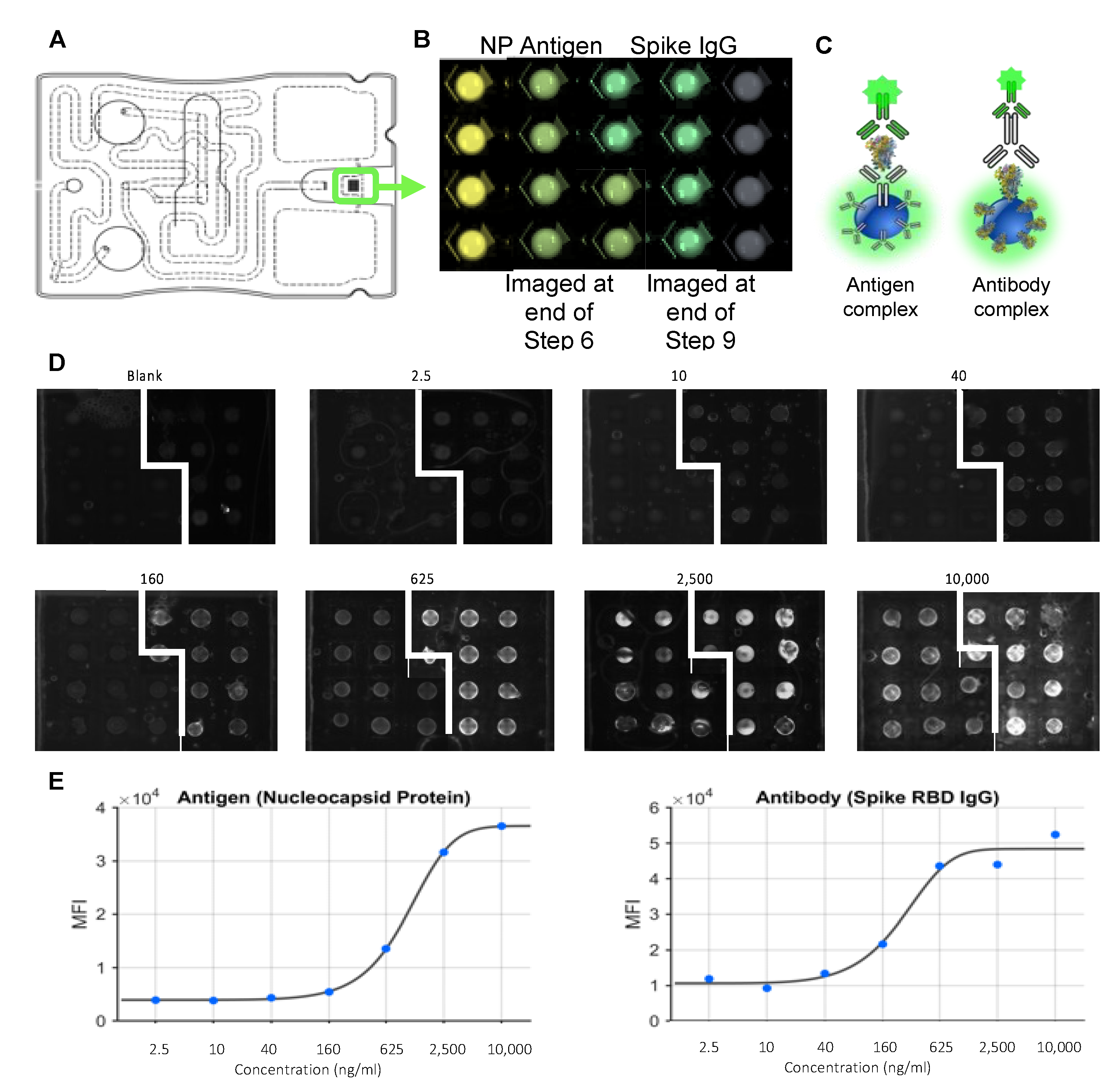 Bioengineering 10 00670 g006 Bioengineering 10 00670 g006