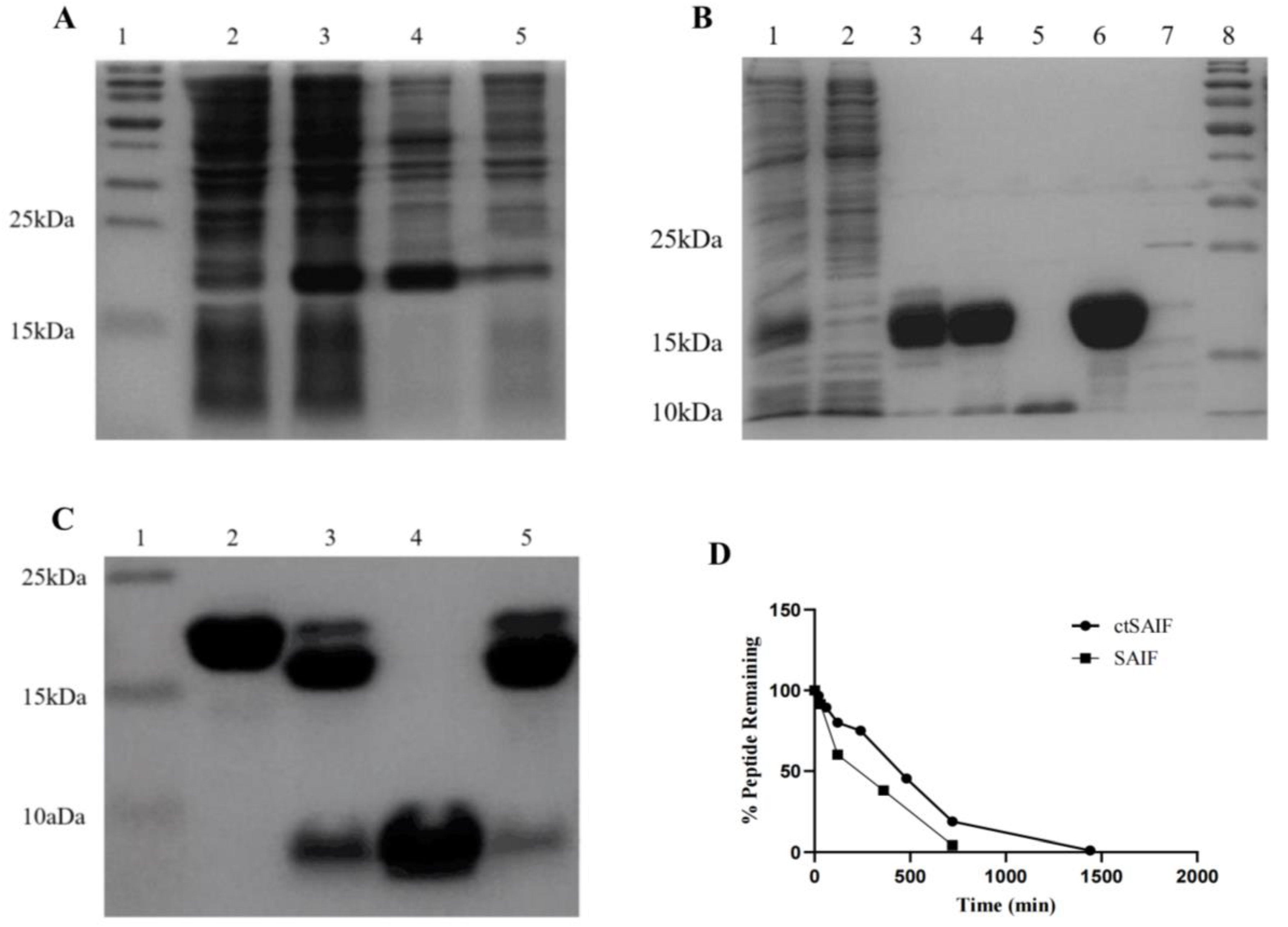 Bioengineering 10 00674 g003 Bioengineering 10 00674 g003