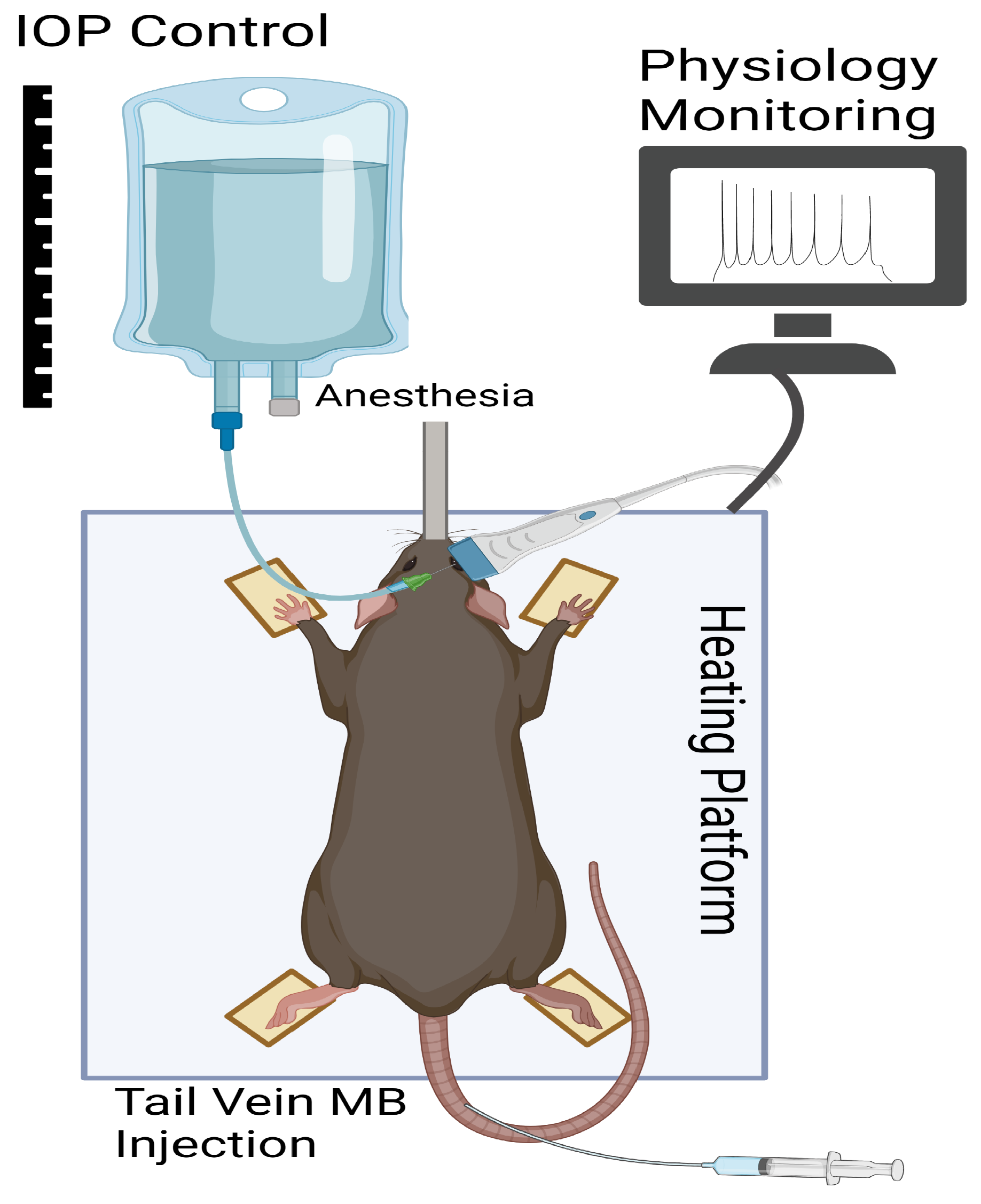 Bioengineering 10 00689 g001 Bioengineering 10 00689 g001