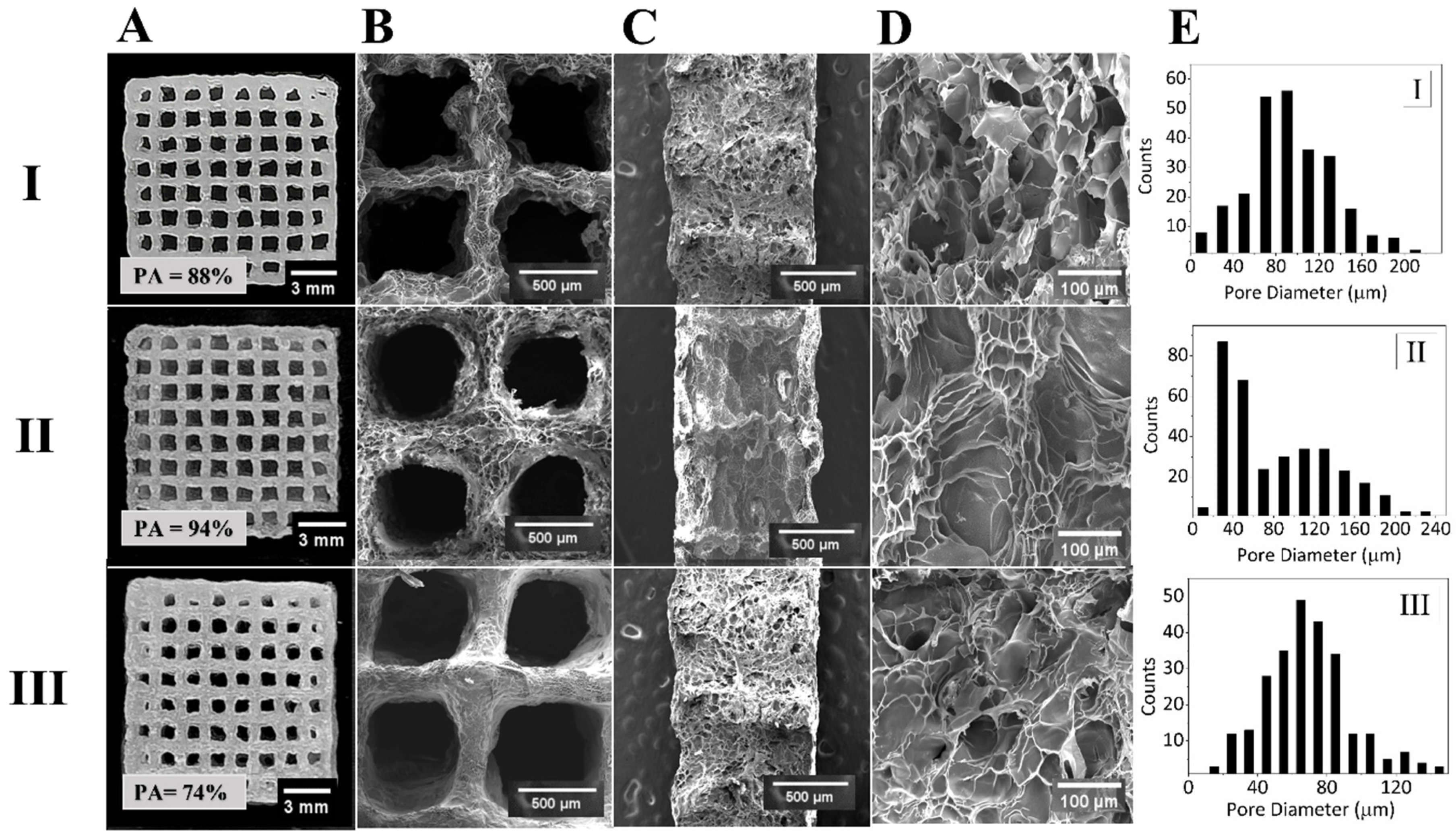 Bioengineering 10 00704 g002