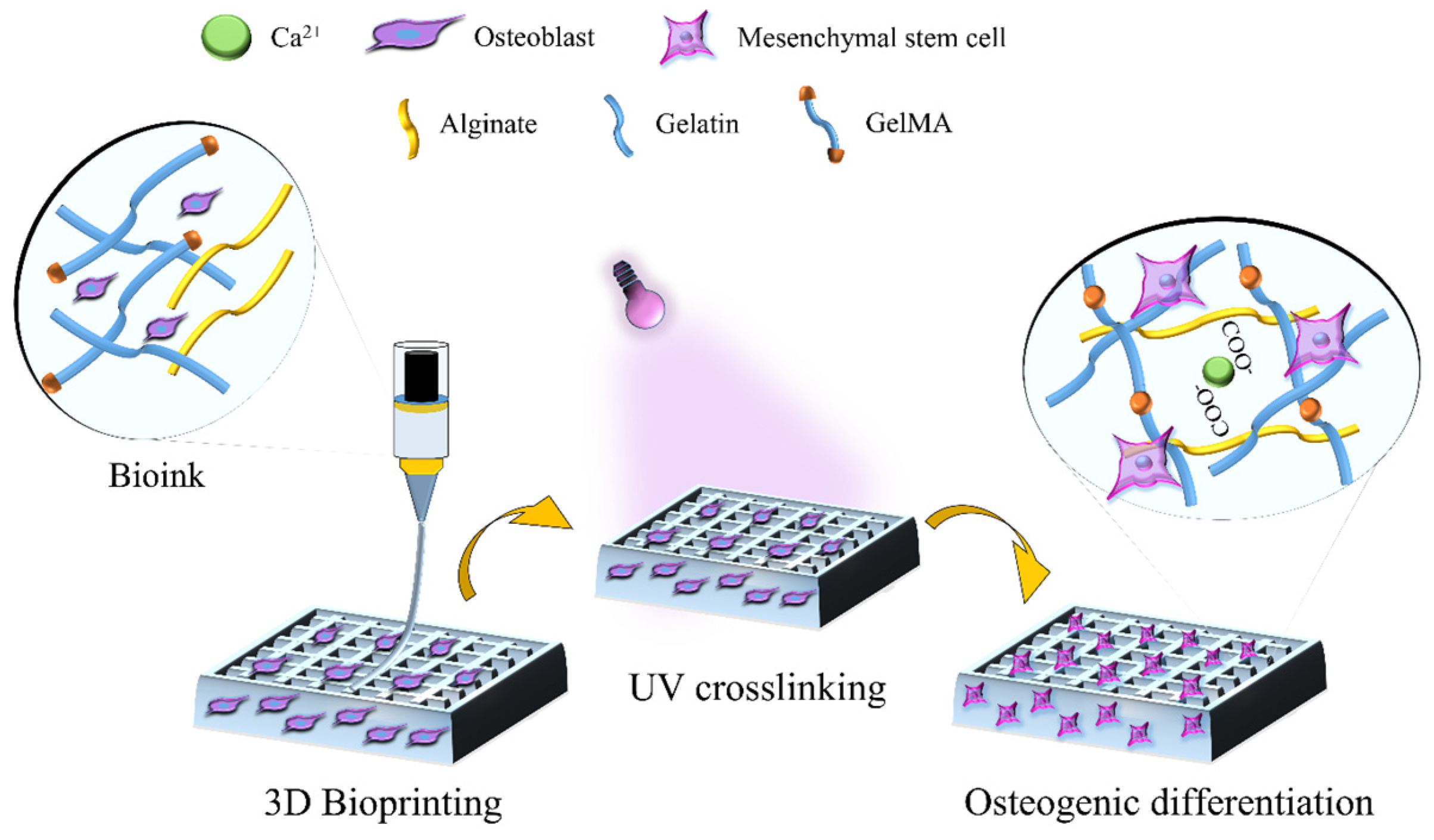 Bioengineering 10 00704 sch001