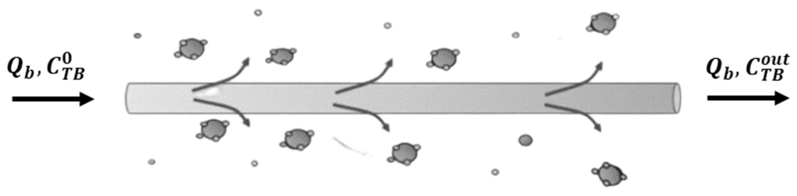 Bioengineering 10 00706 g001