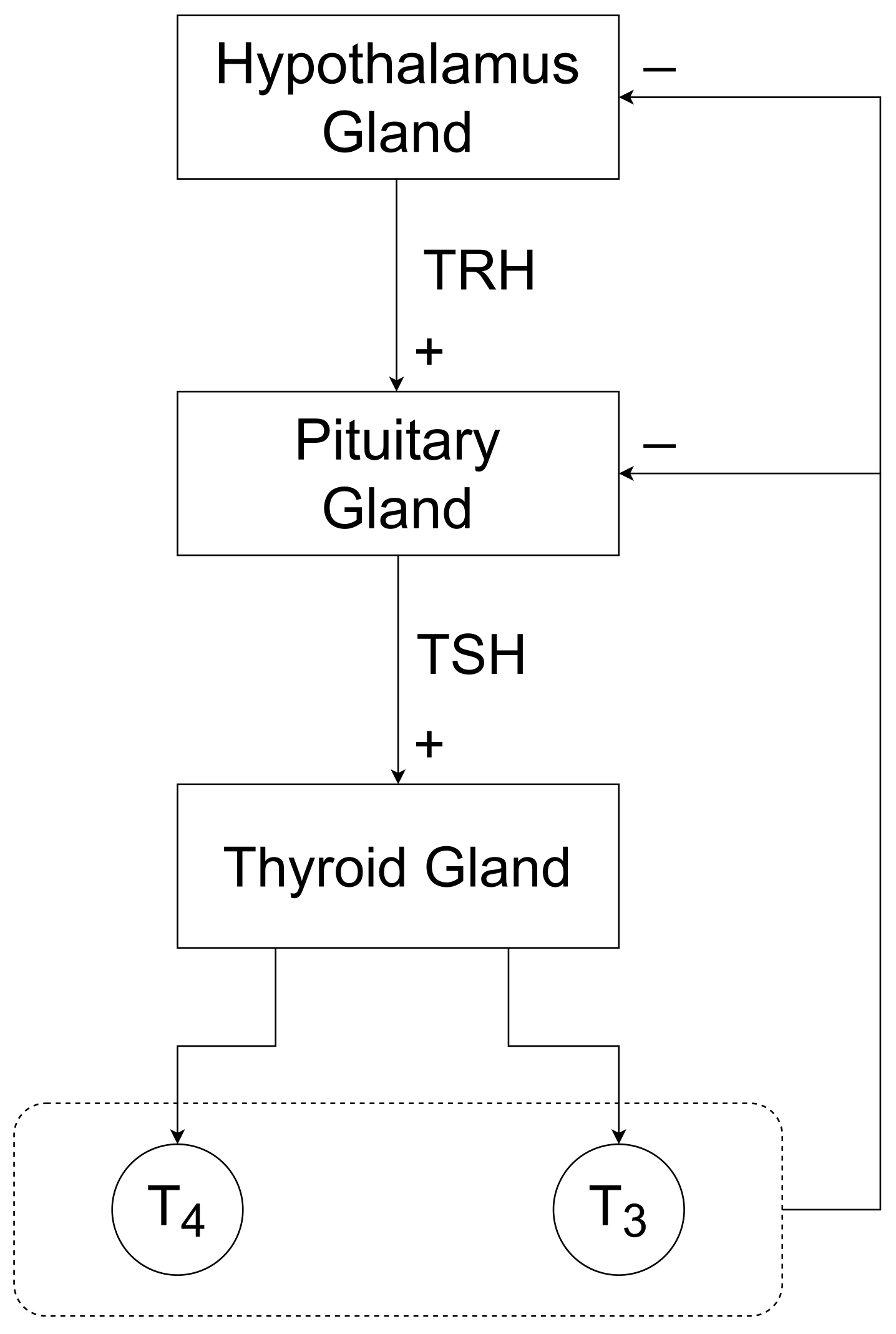 Bioengineering | Free Full-Text | Automatic Levothyroxine Dosing Algorithm  for Patients Suffering from Hashimoto&rsquo;s Thyroiditis