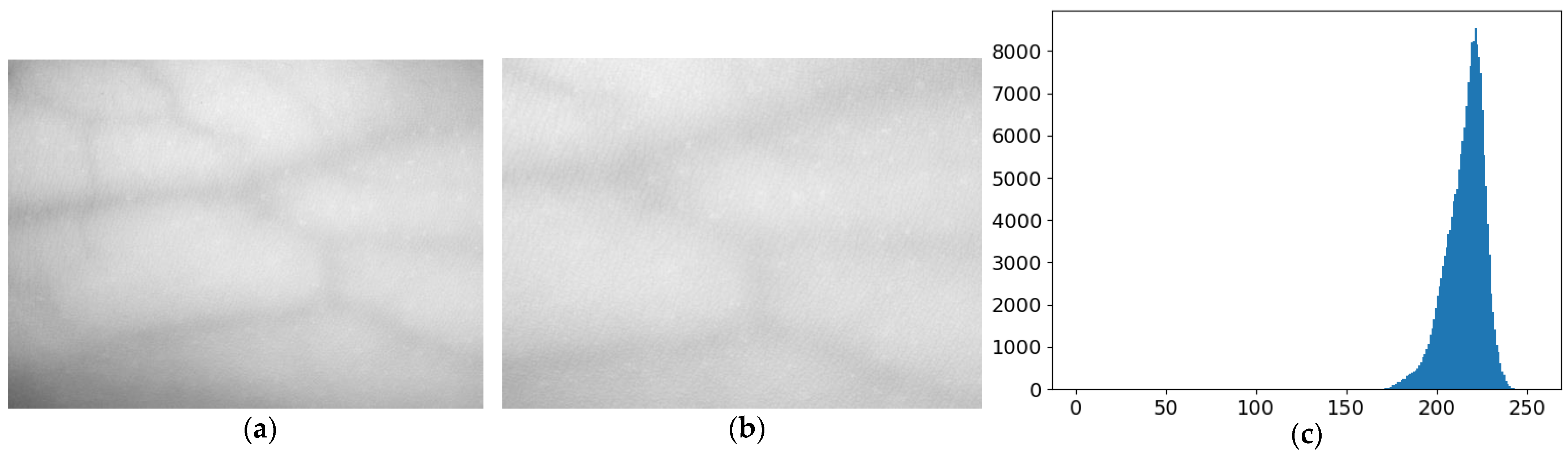 Bioengineering 10 00726 g002 Bioengineering 10 00726 g002