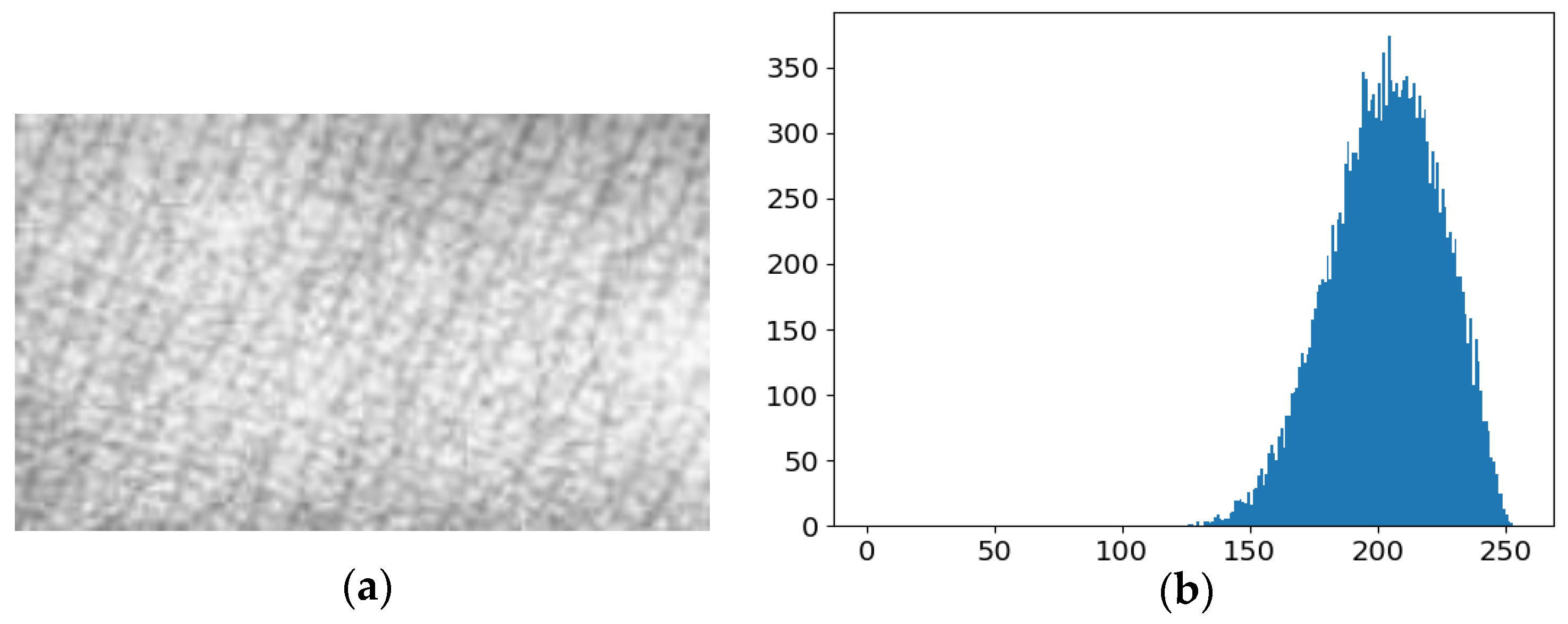 Bioengineering 10 00726 g003 Bioengineering 10 00726 g003