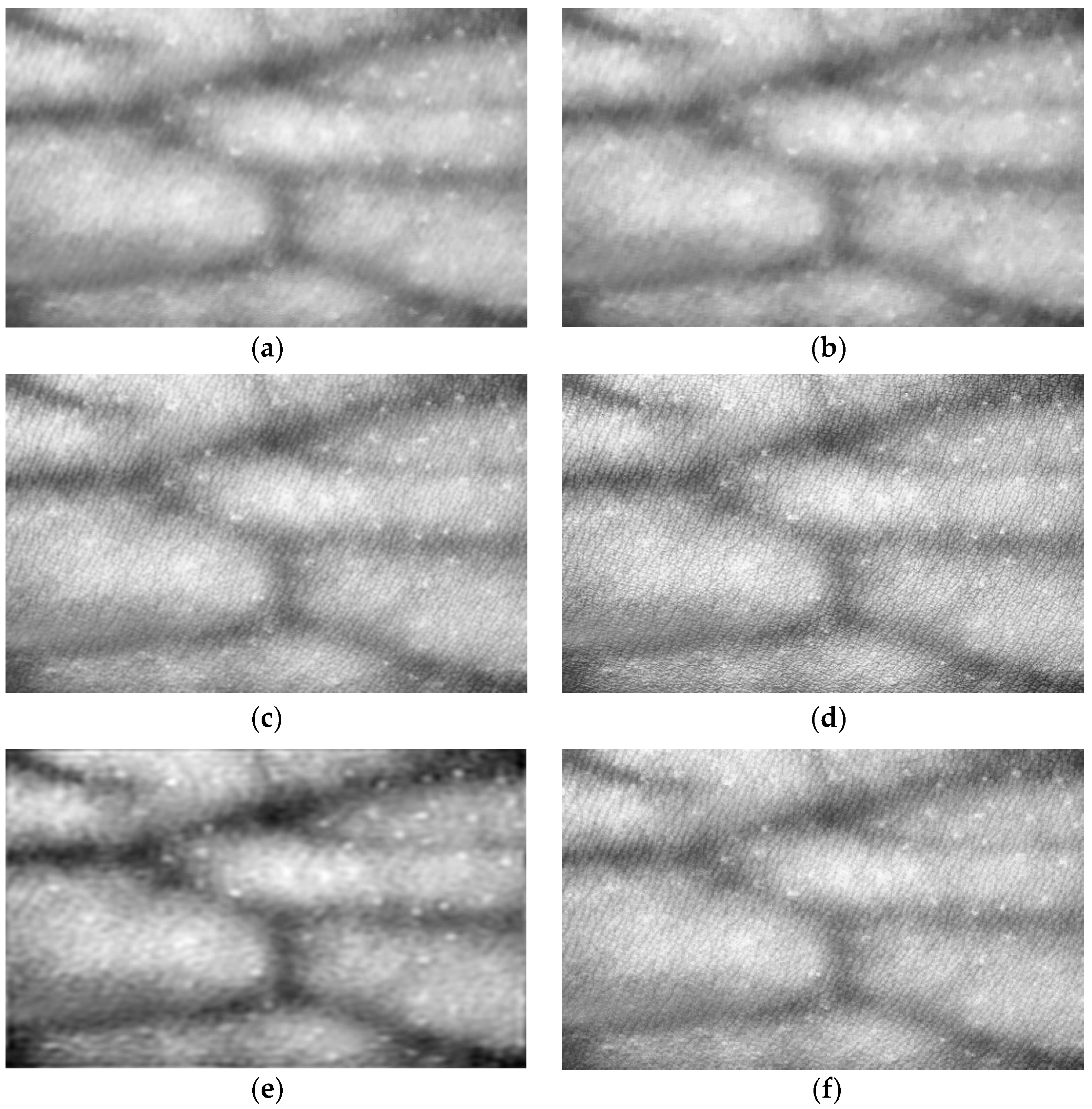 Bioengineering 10 00726 g006 Bioengineering 10 00726 g006