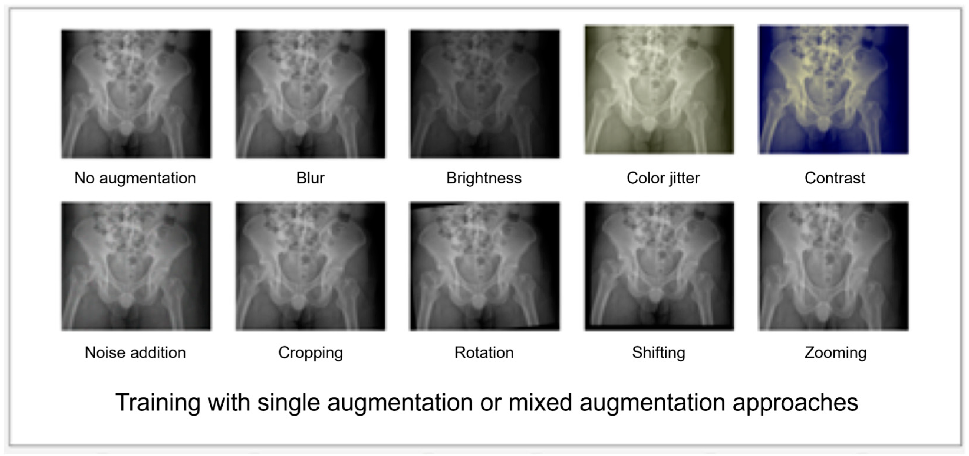 Bioengineering 10 00735 g002 Bioengineering 10 00735 g002