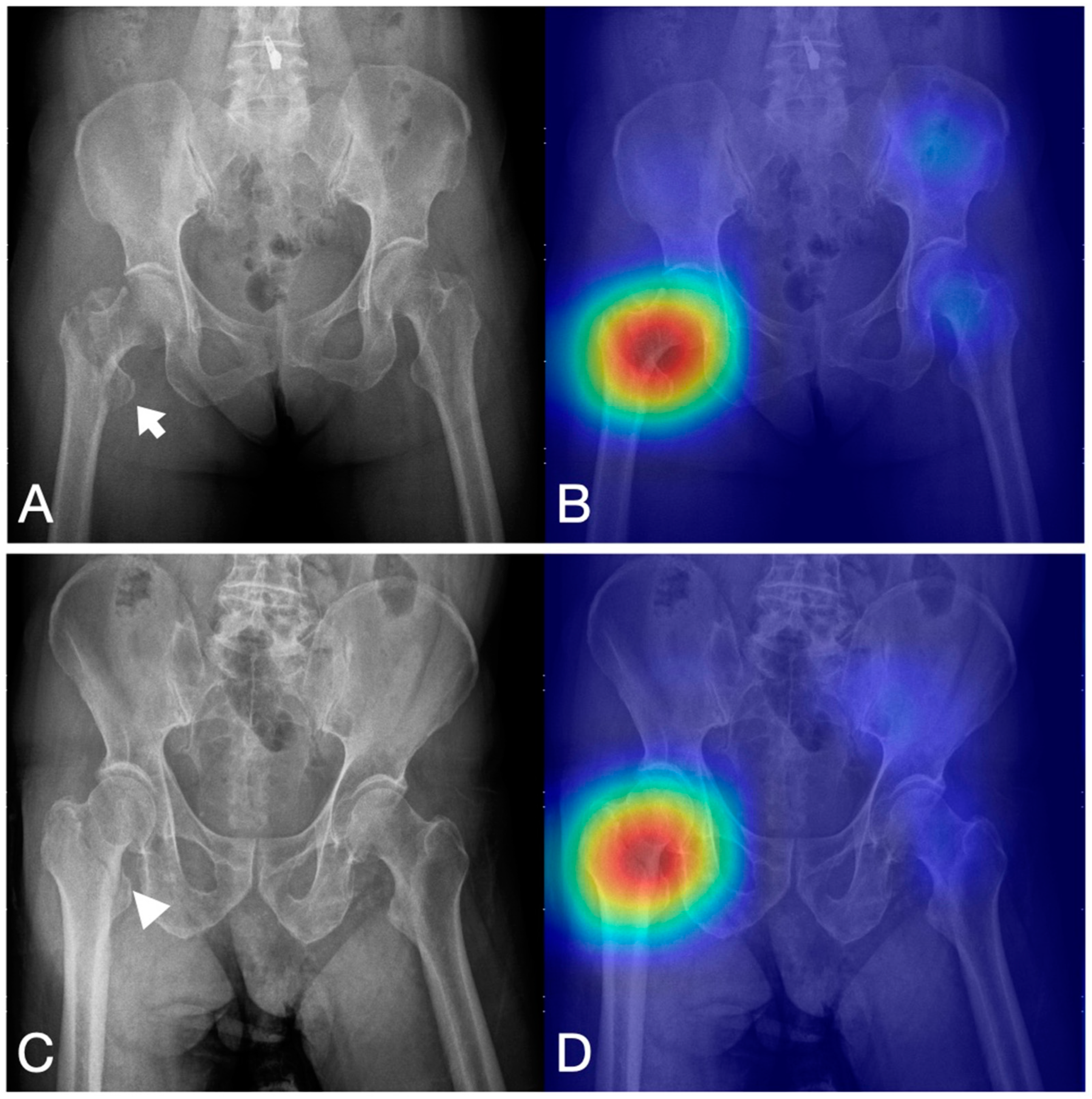 Bioengineering 10 00735 g003 Bioengineering 10 00735 g003