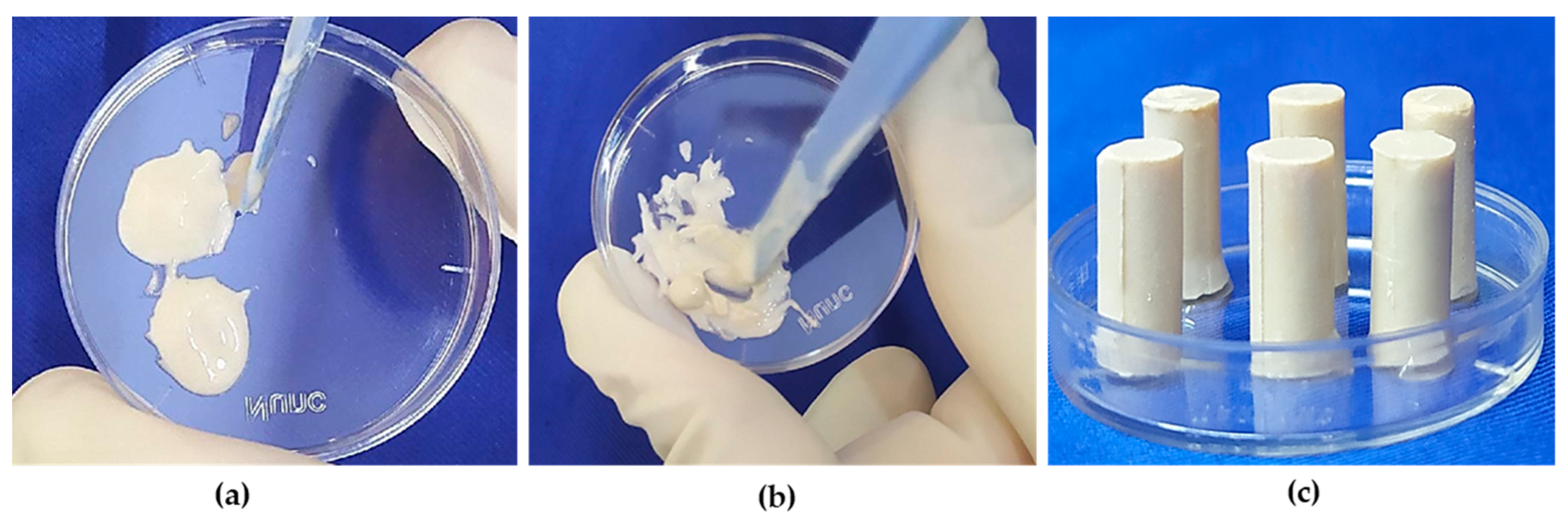 Bioengineering 10 00752 g003 Bioengineering 10 00752 g003