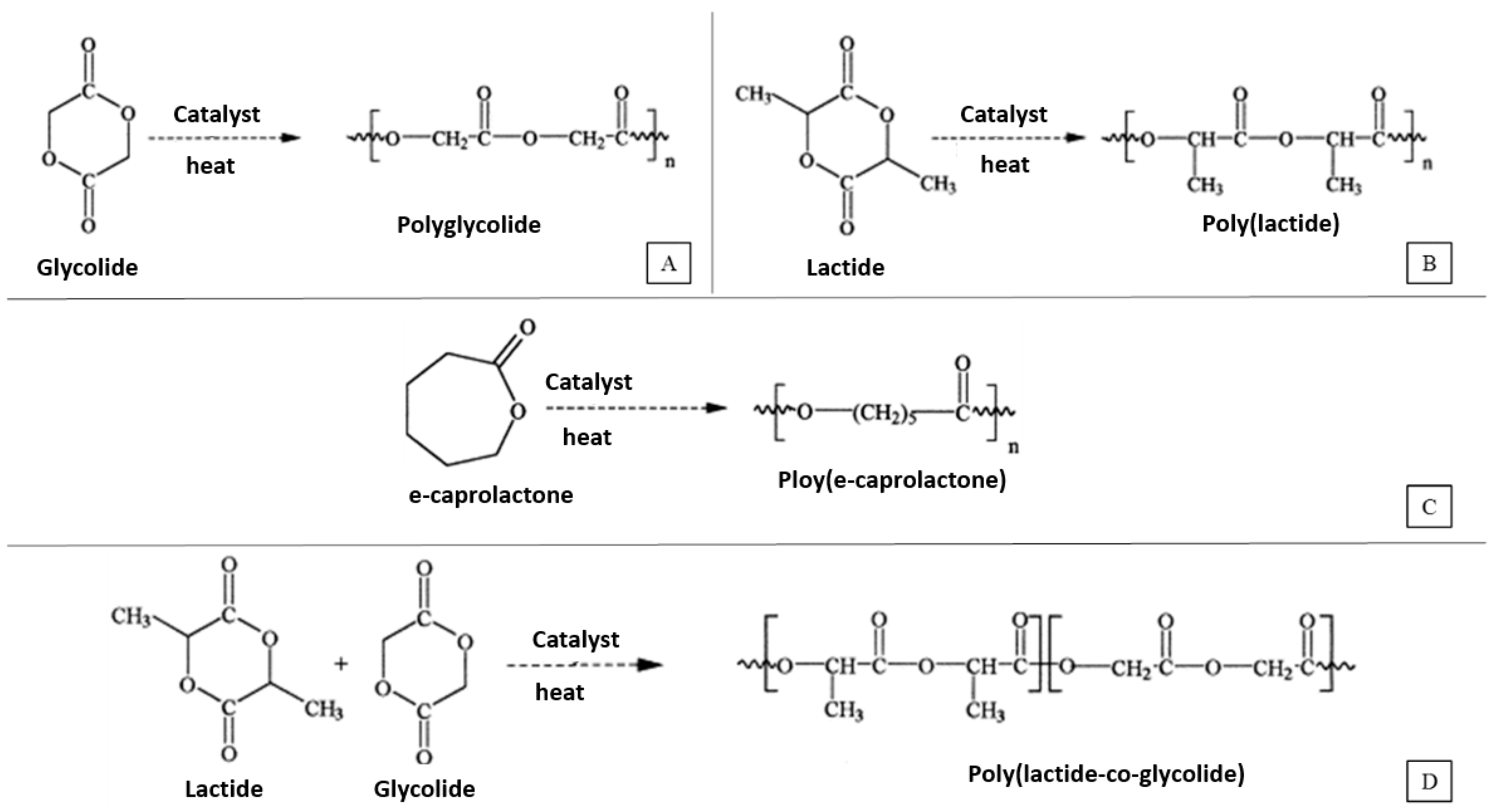 Bioengineering 10 00759 g002