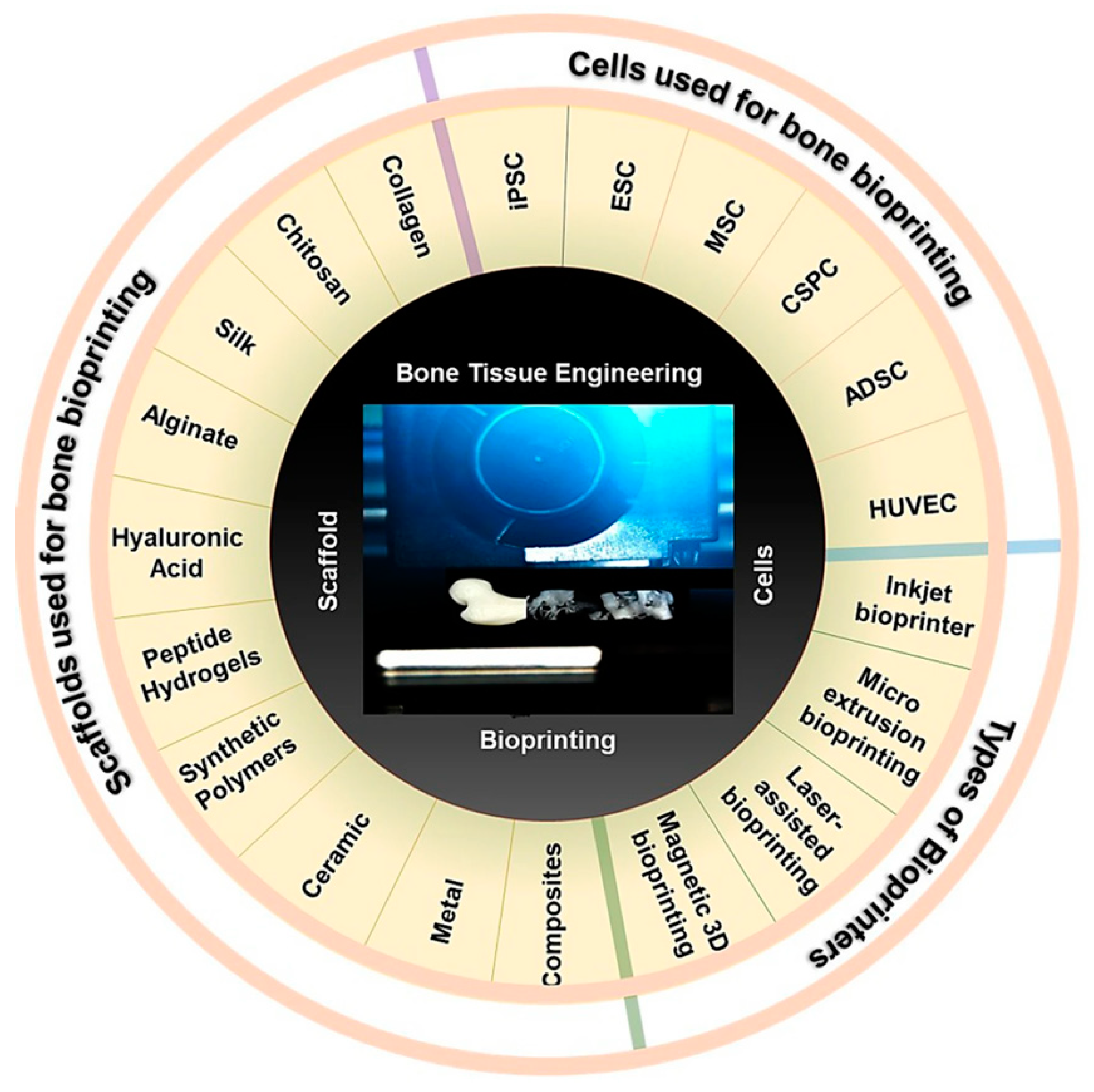 Bioengineering 10 00759 g006