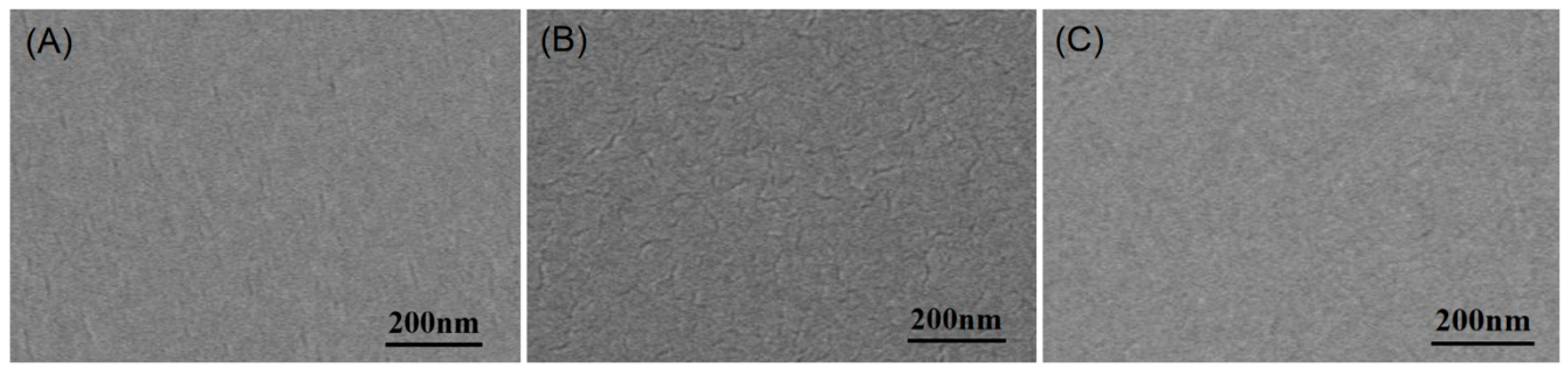 Bioengineering 10 00763 g004 Bioengineering 10 00763 g004