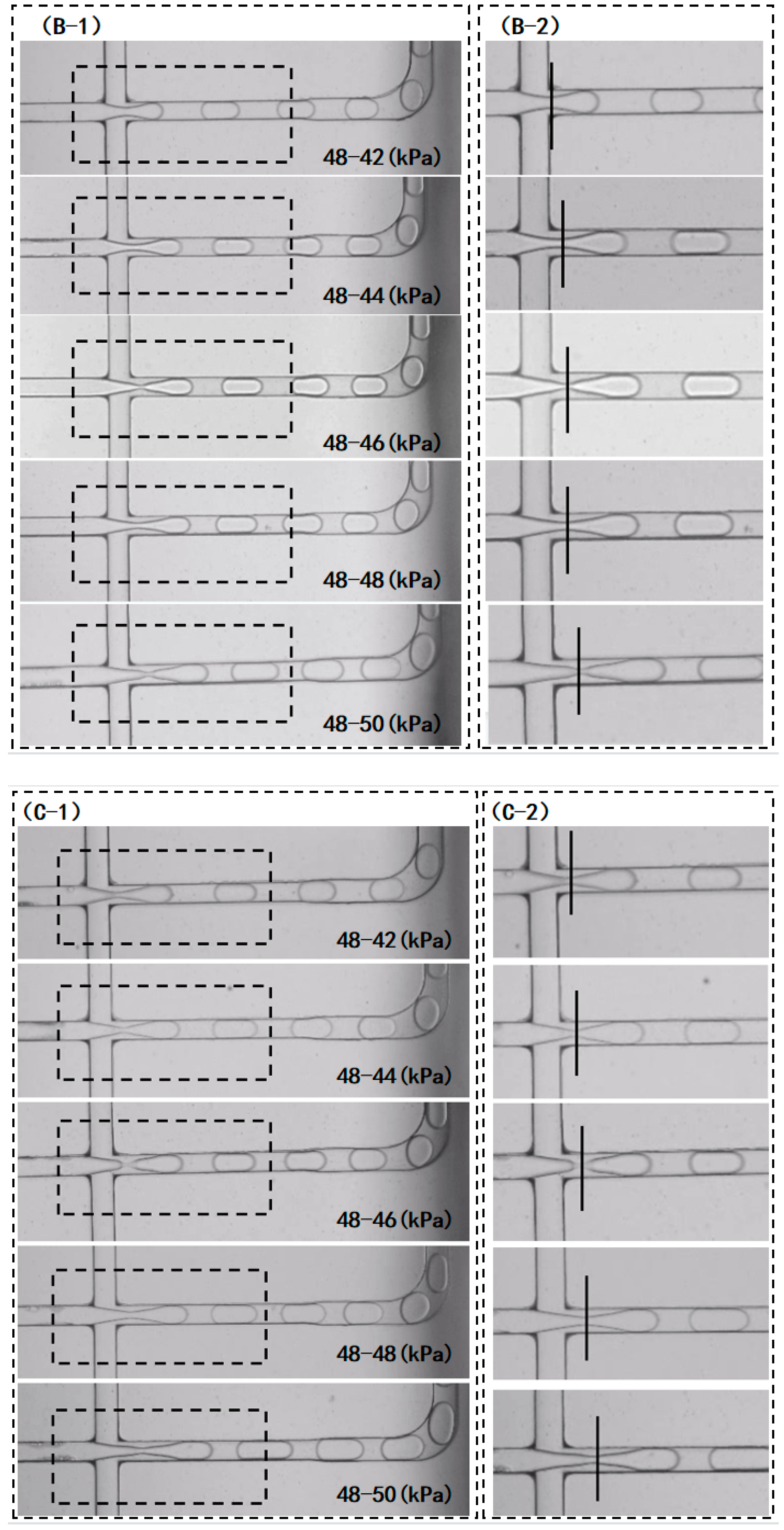 Bioengineering 10 00763 g006b Bioengineering 10 00763 g006b