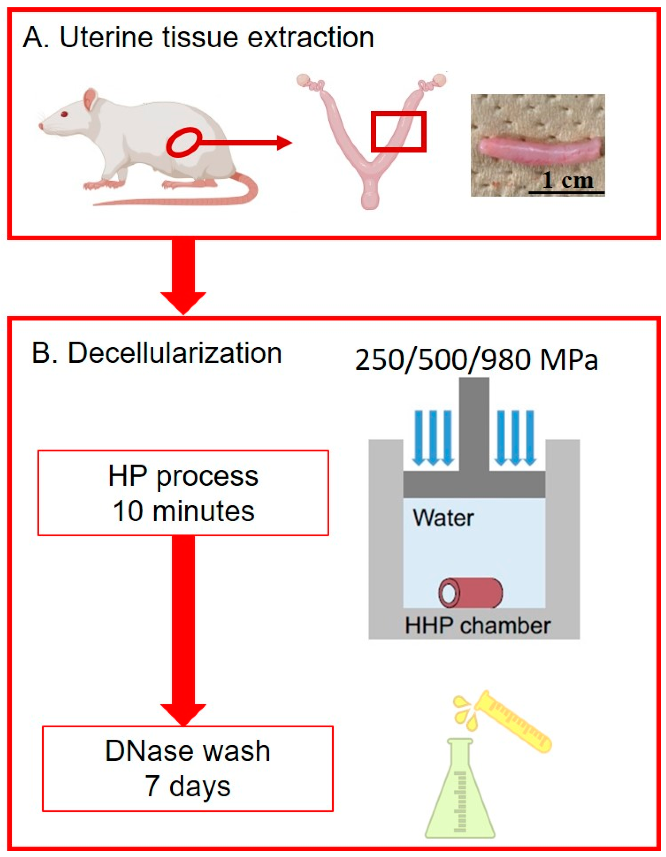 Bioengineering 10 00814 g001