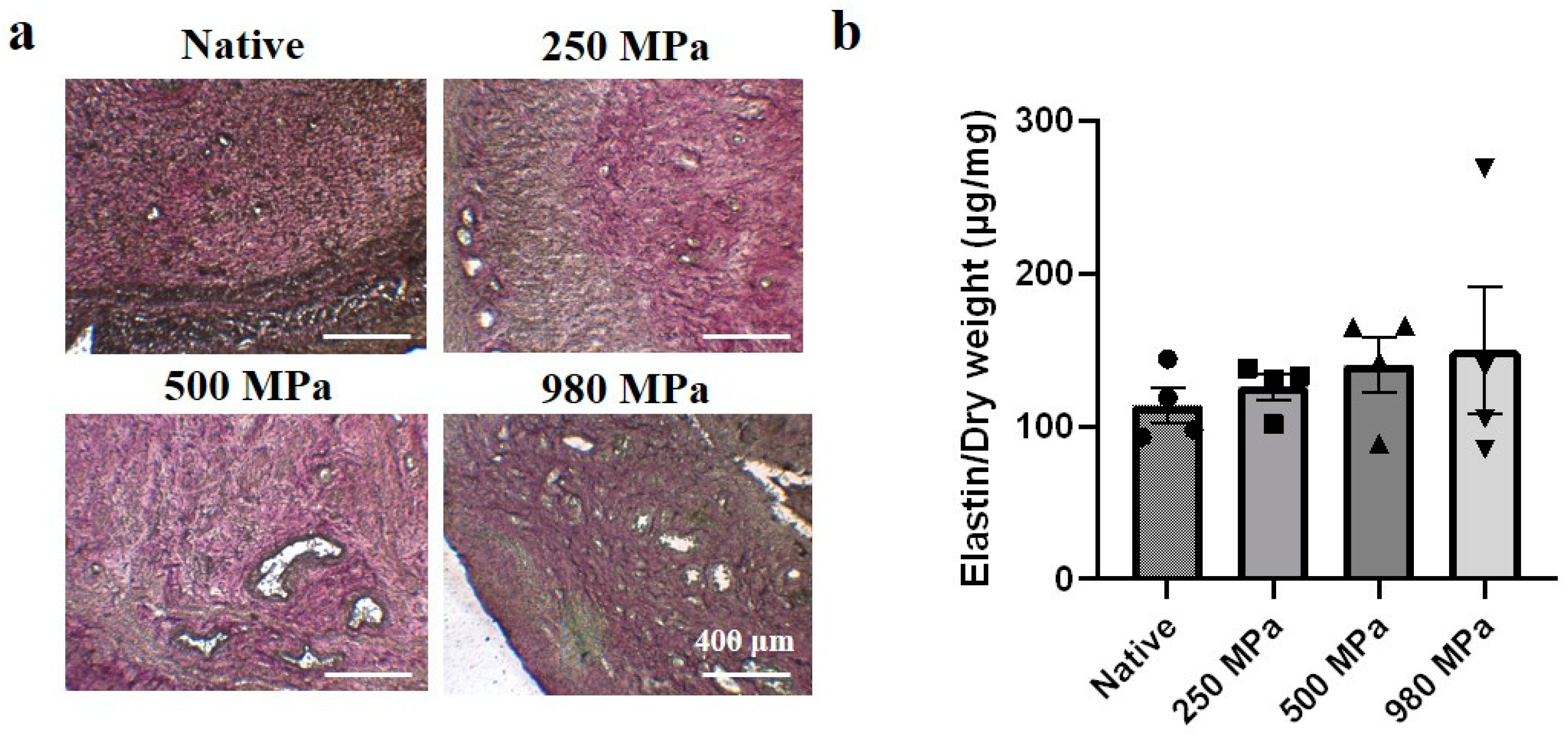 Bioengineering 10 00814 g004