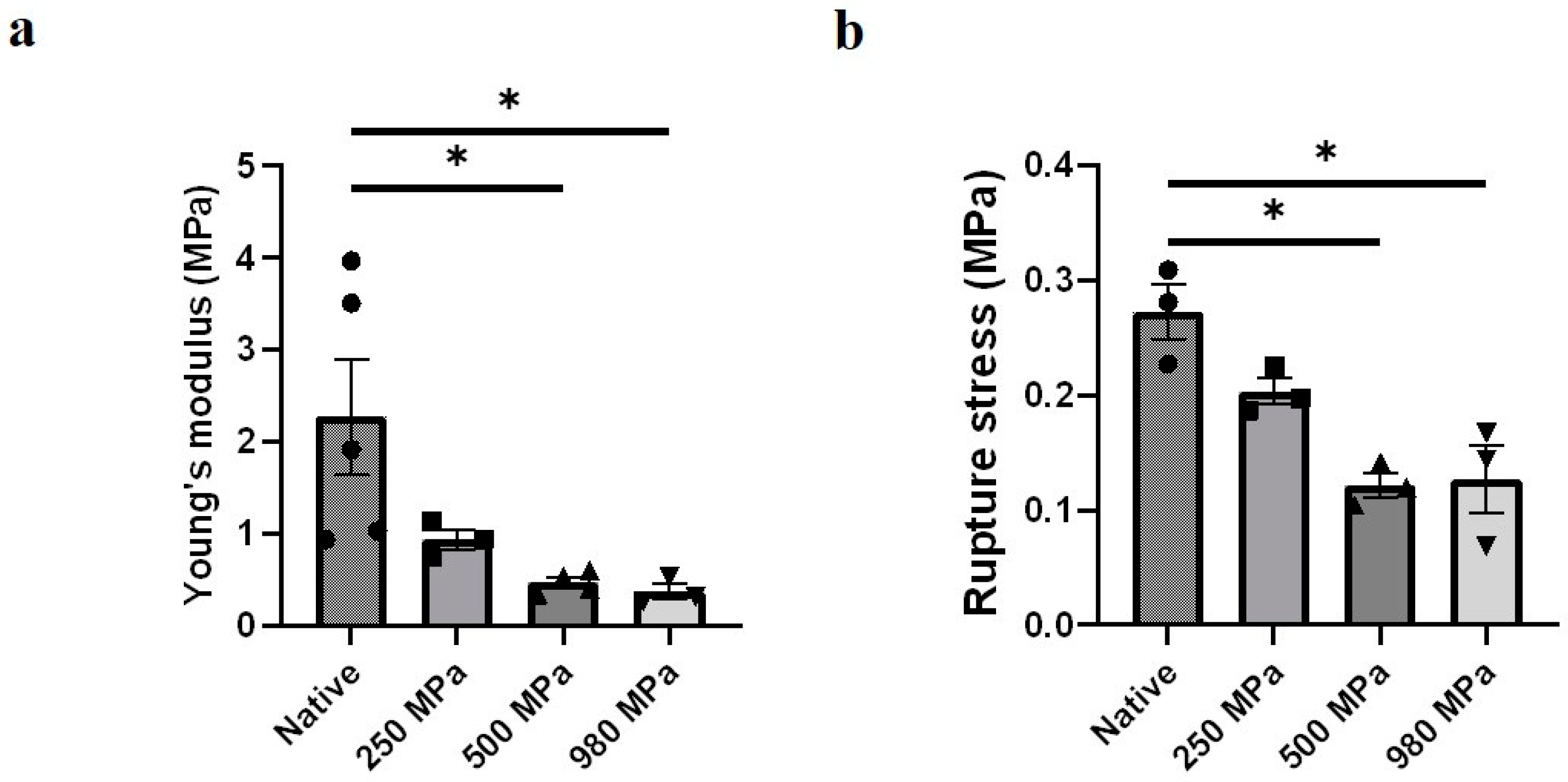Bioengineering 10 00814 g005