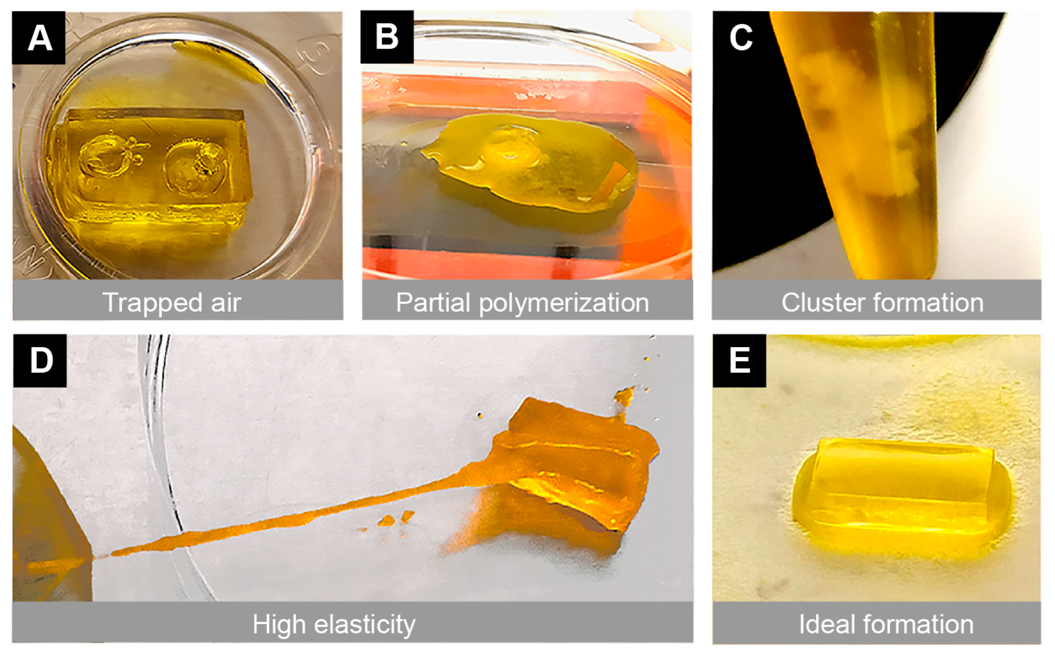 Bioengineering 10 00817 g003 Bioengineering 10 00817 g003